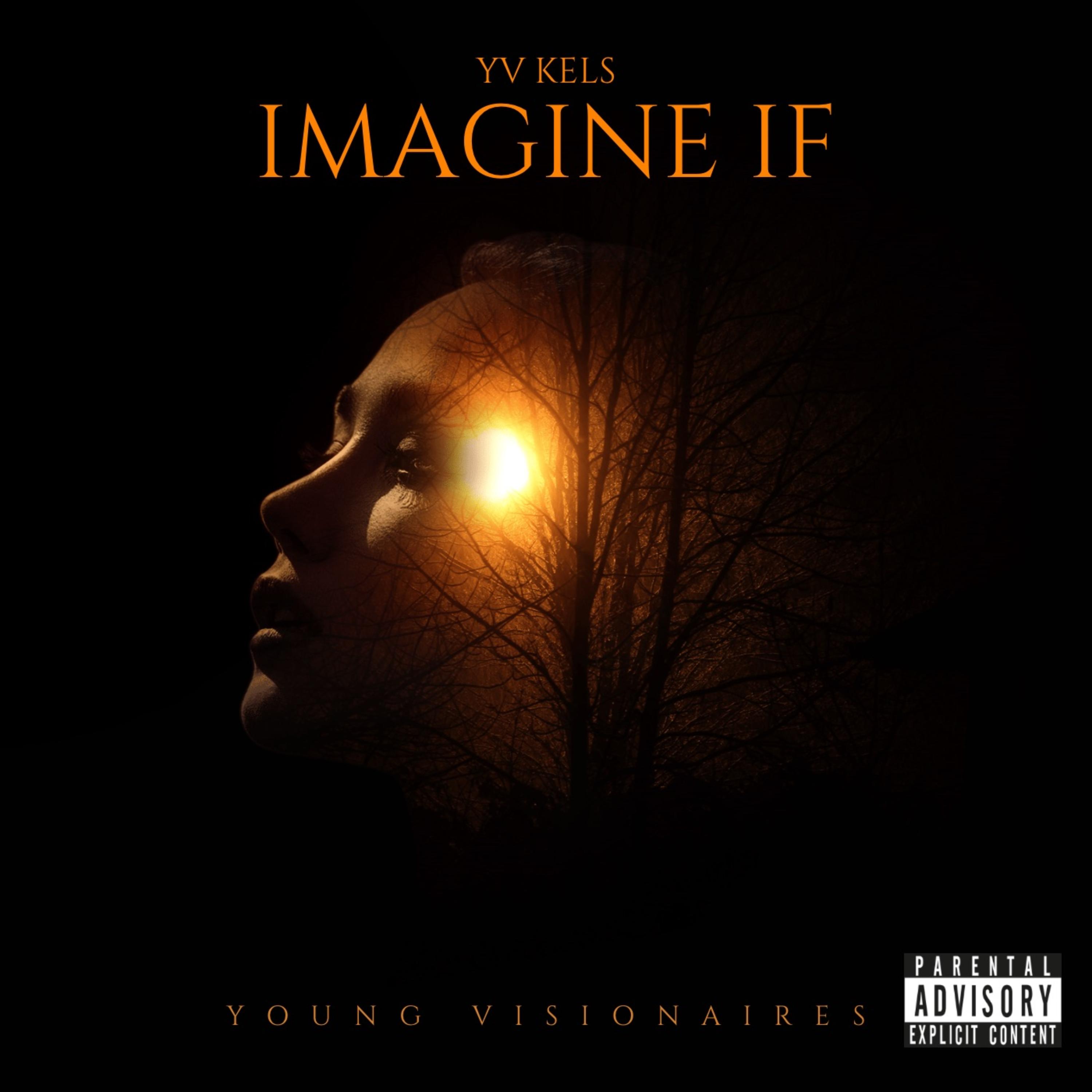 IMAGINE IF artwork