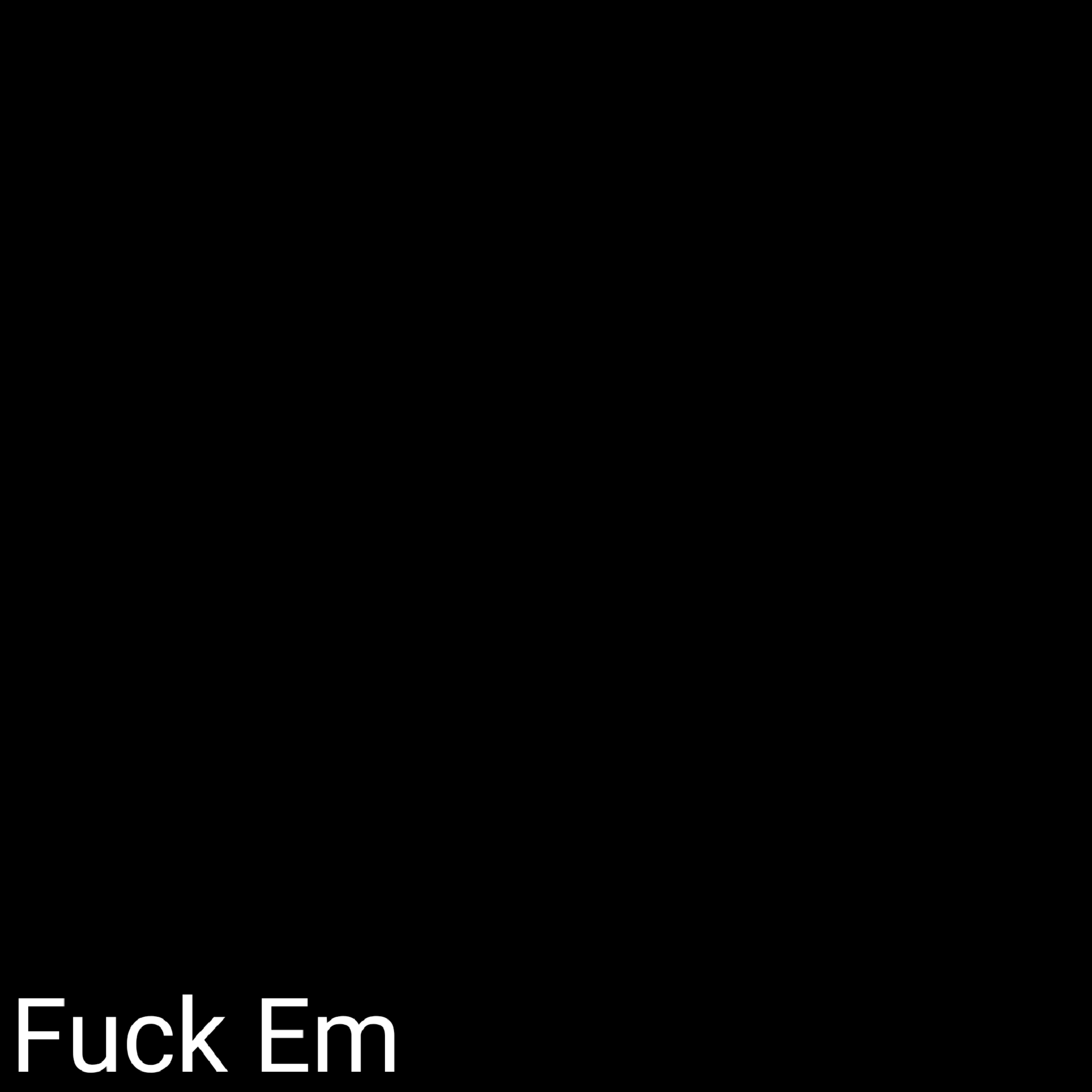 Fuck Em artwork
