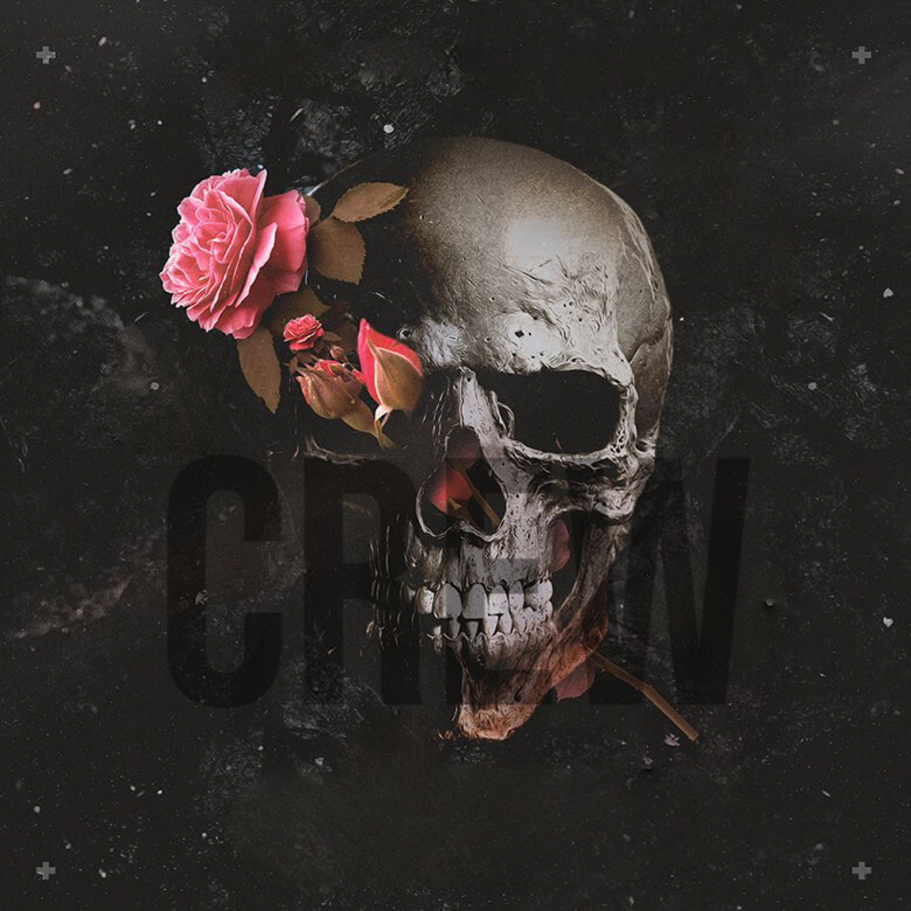 Crew artwork