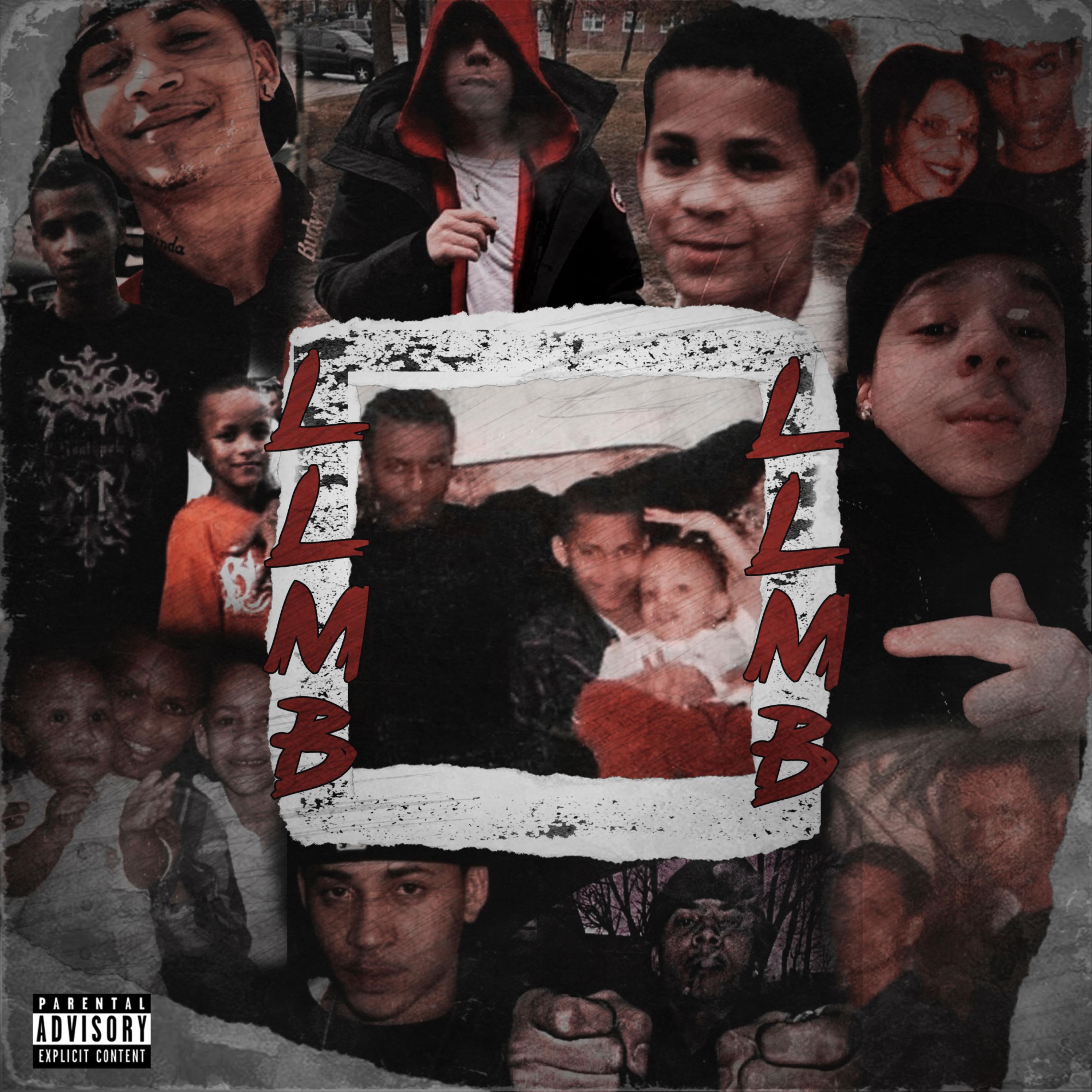 LLMB artwork