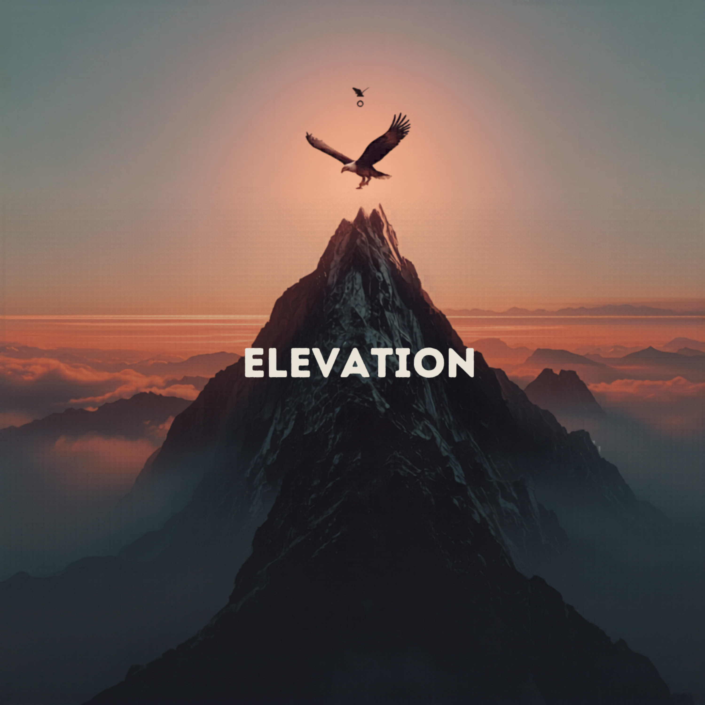 Elevation by ChefBoy O.C. cover art