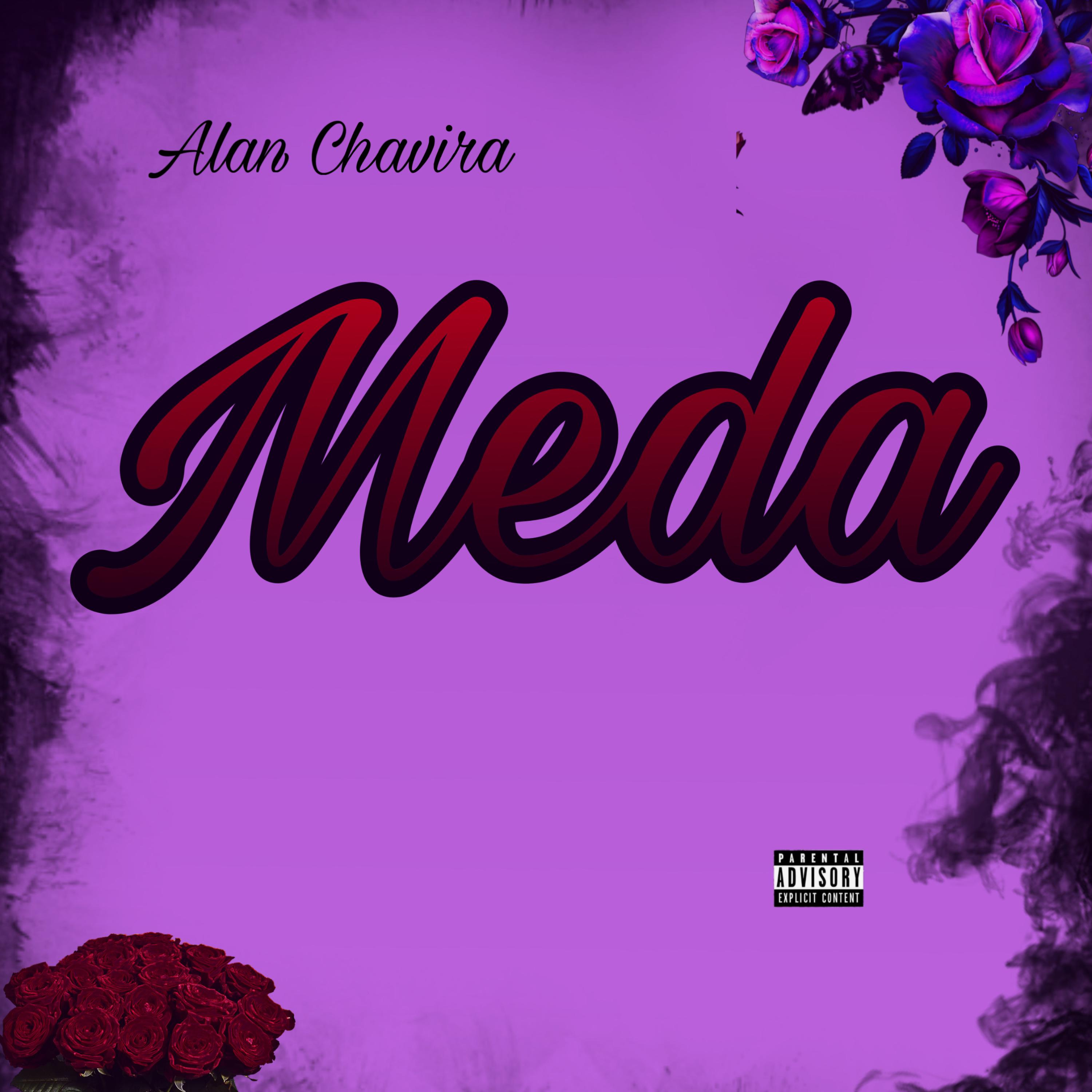 MEDA artwork