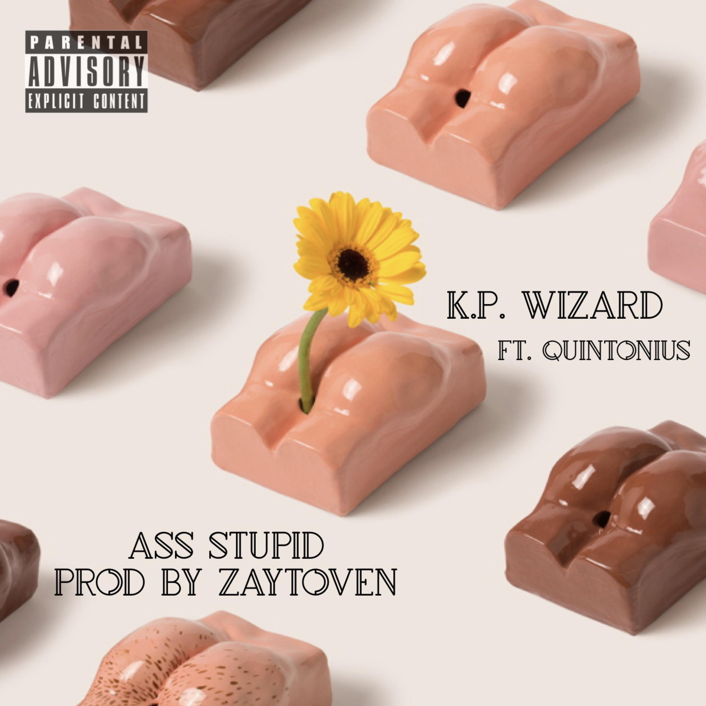 Ass Stupid artwork