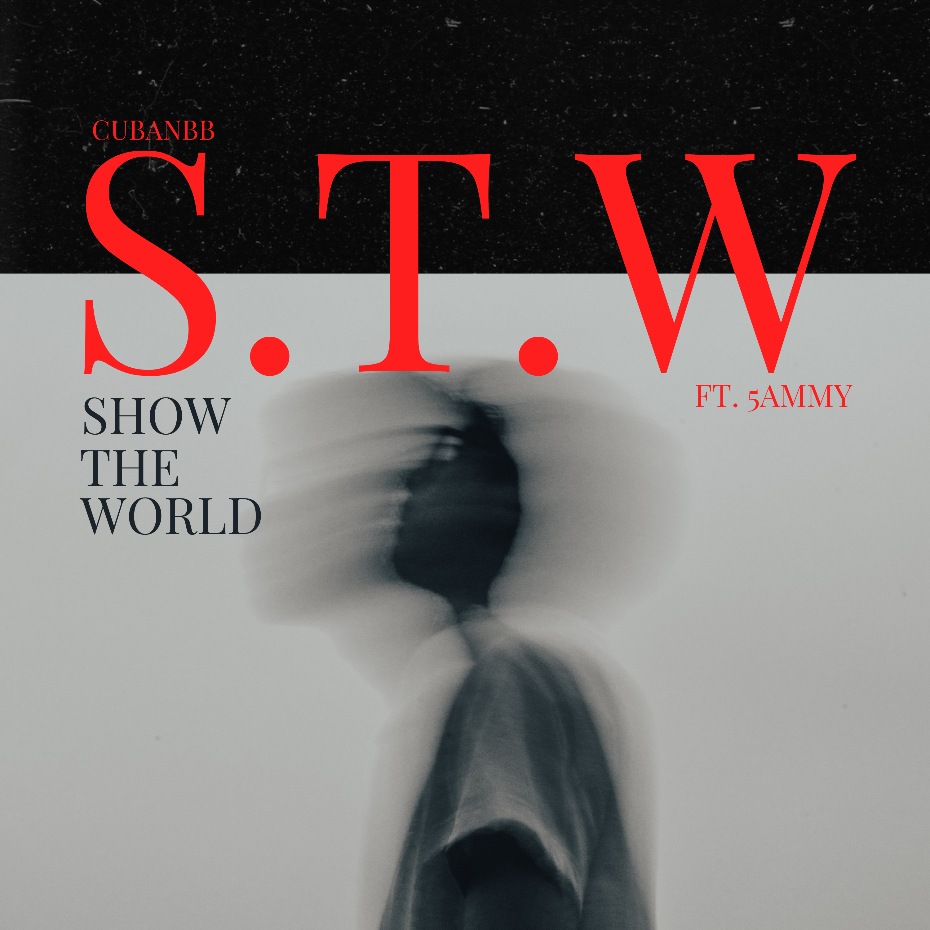 S.T.W (Show The World) artwork