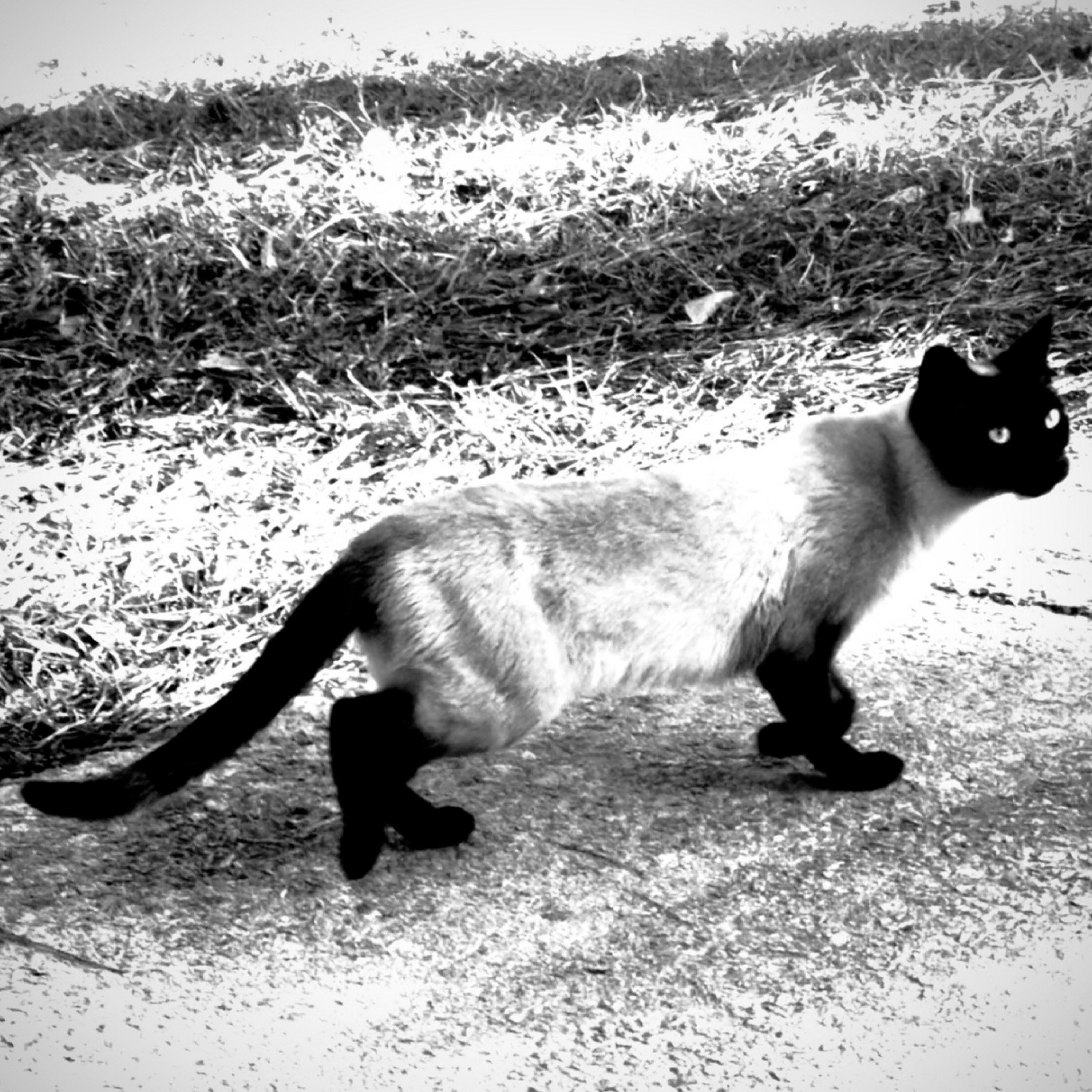 You’ll B Famous artwork