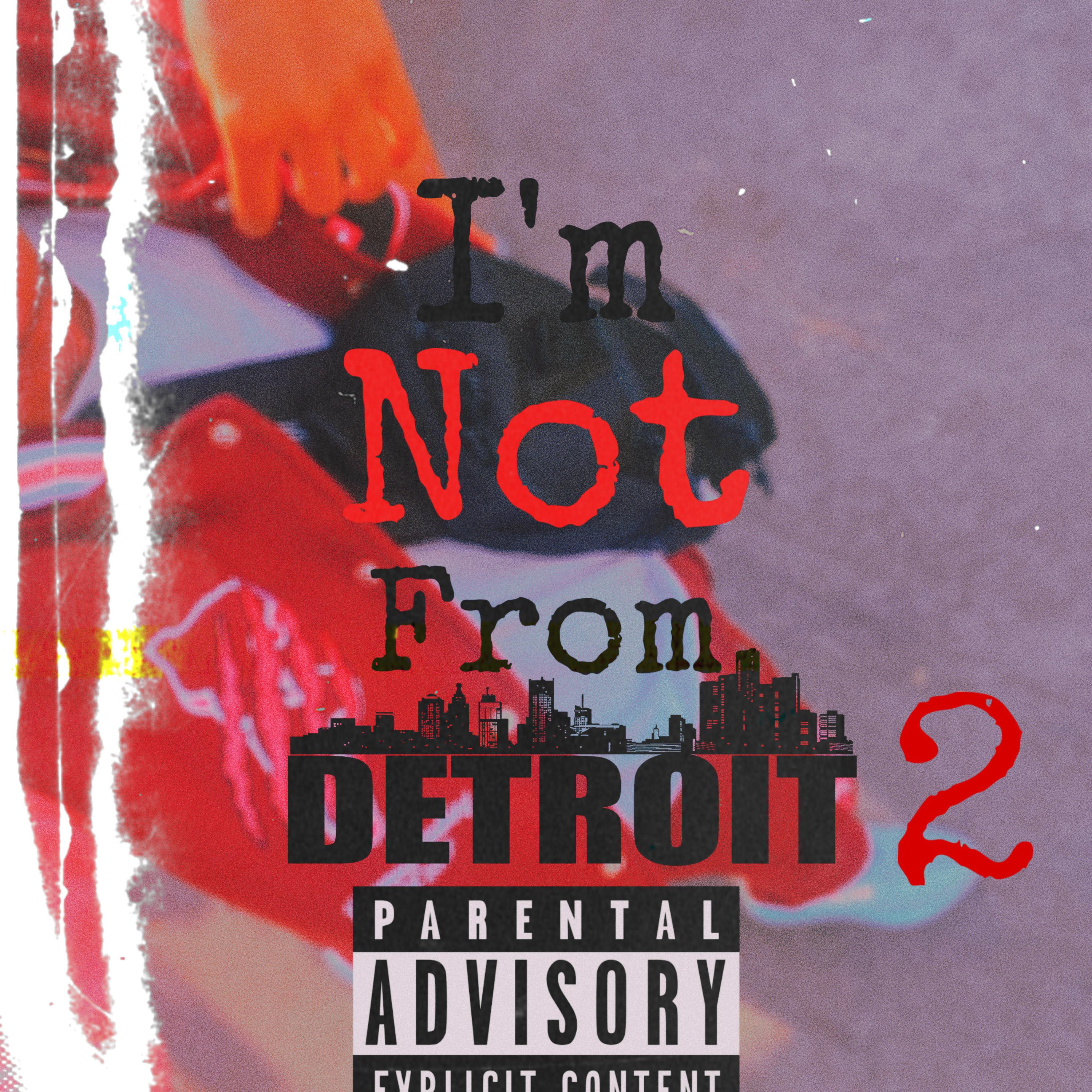 Im Not From Detroit 2 artwork