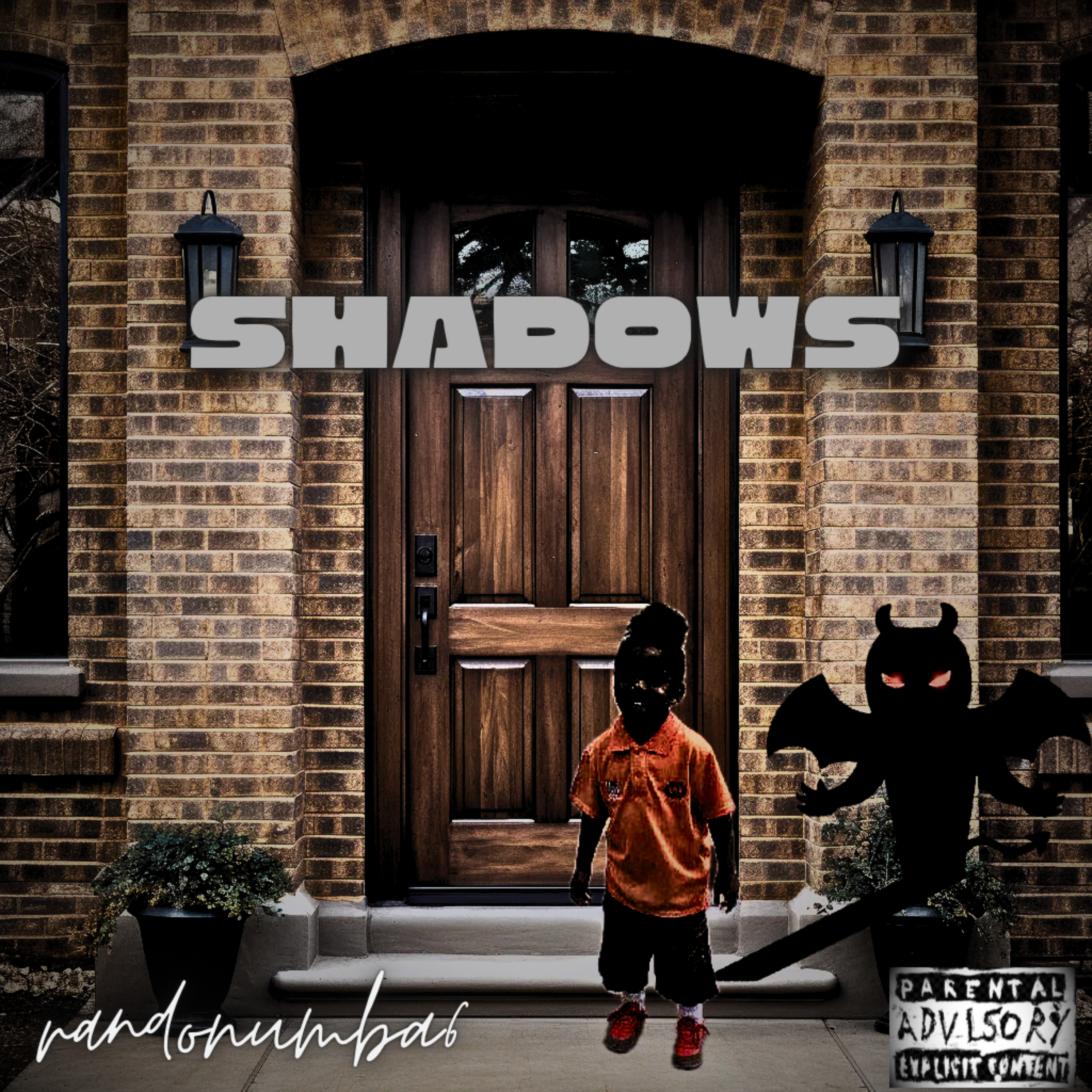 SHADOWS artwork