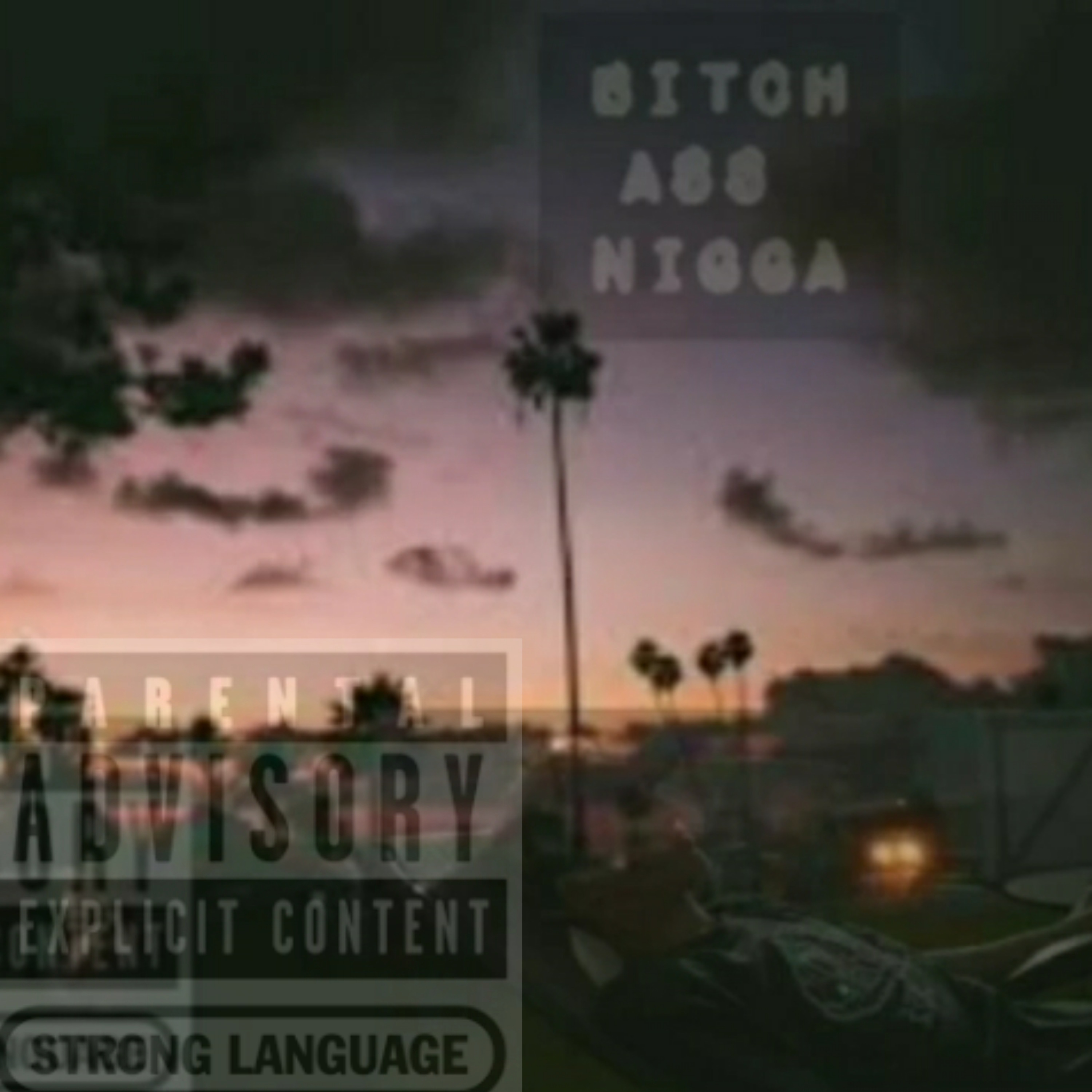 Bitch Ass Nigga artwork