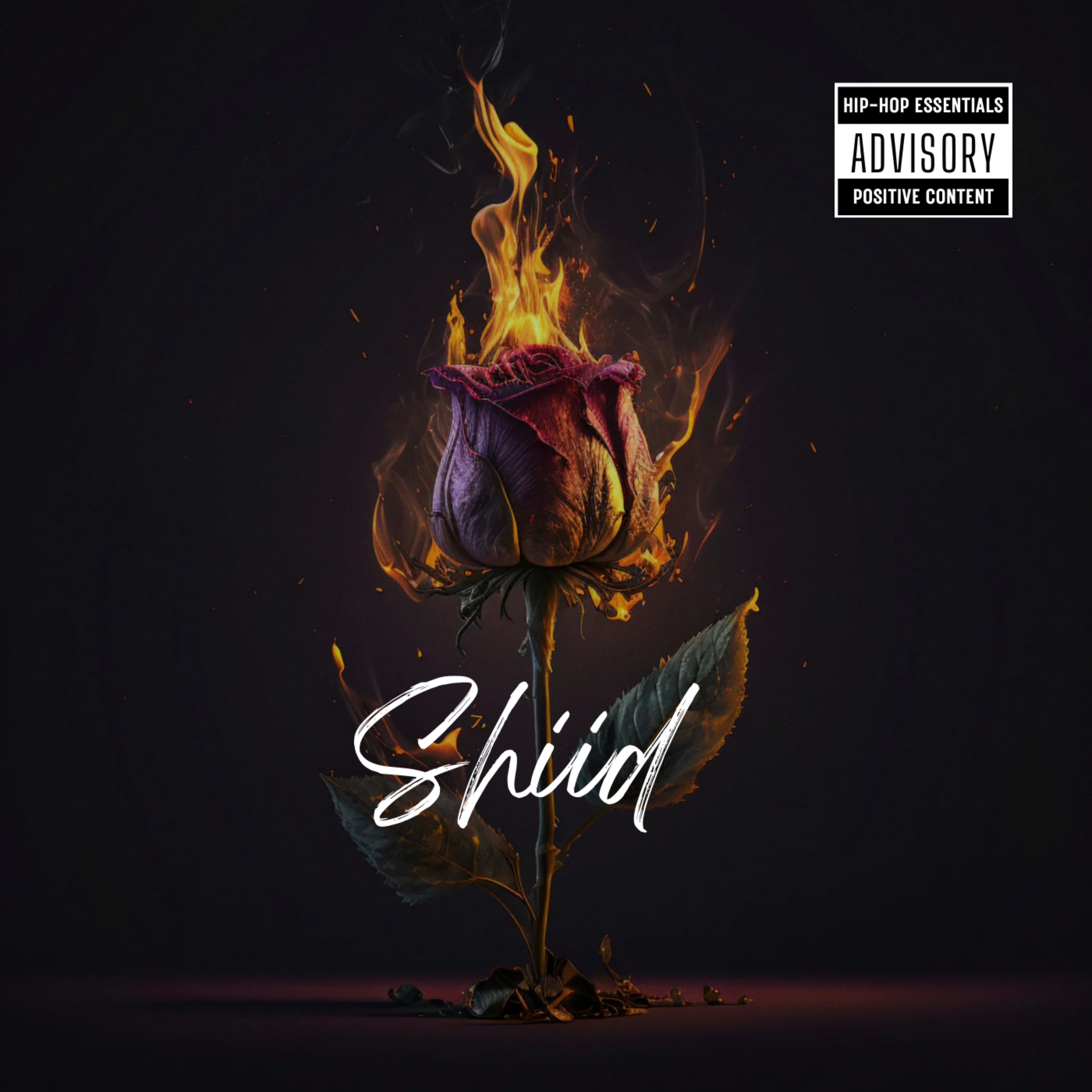 Shiid artwork