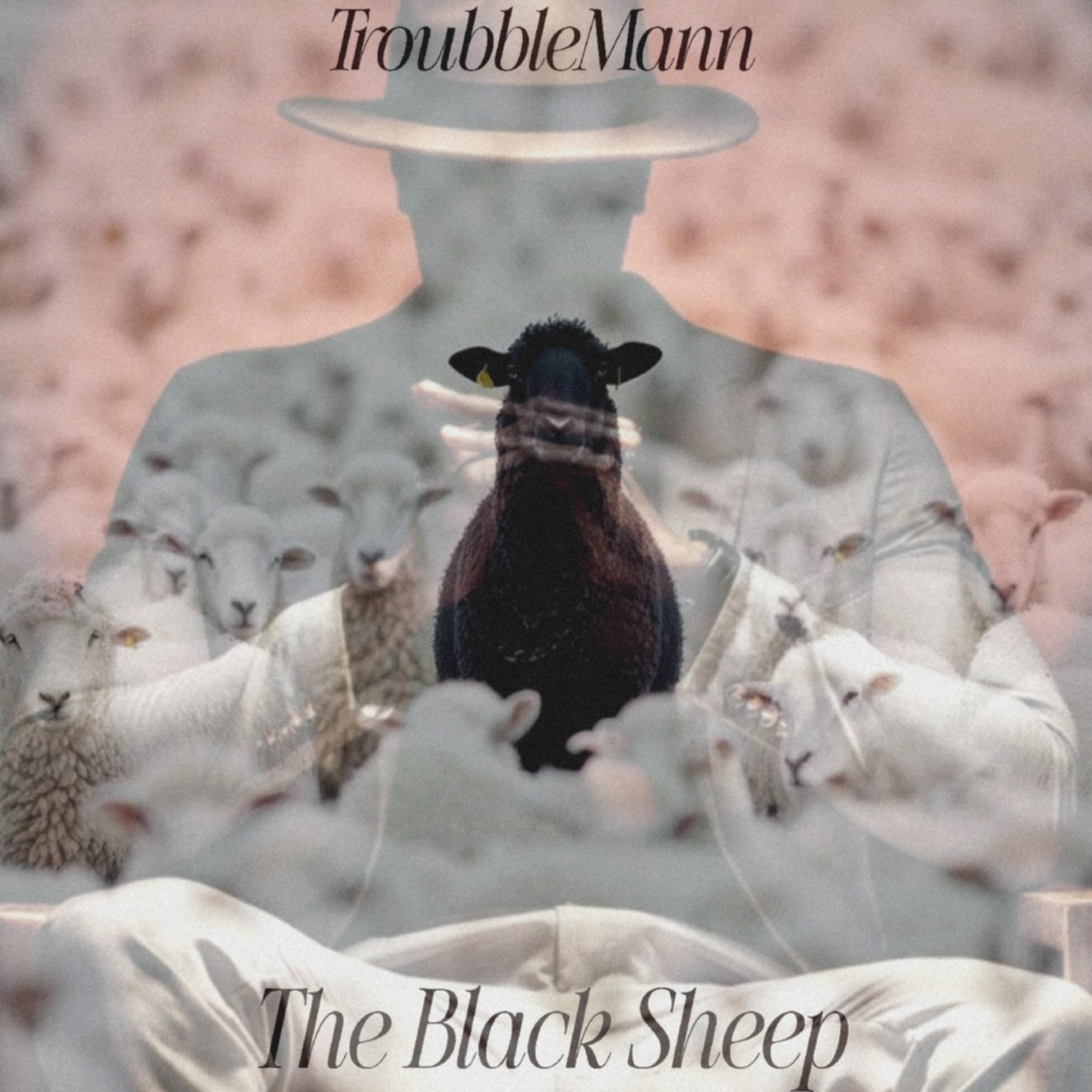 The Black Sheep artwork