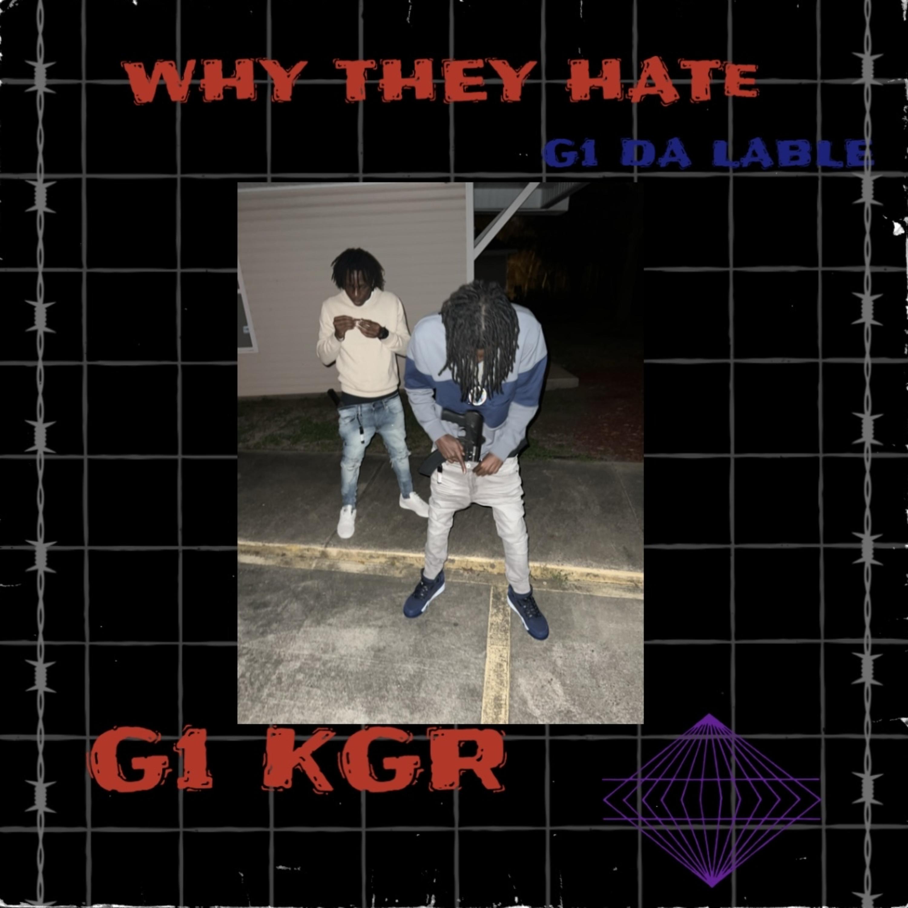 Why They Hate artwork