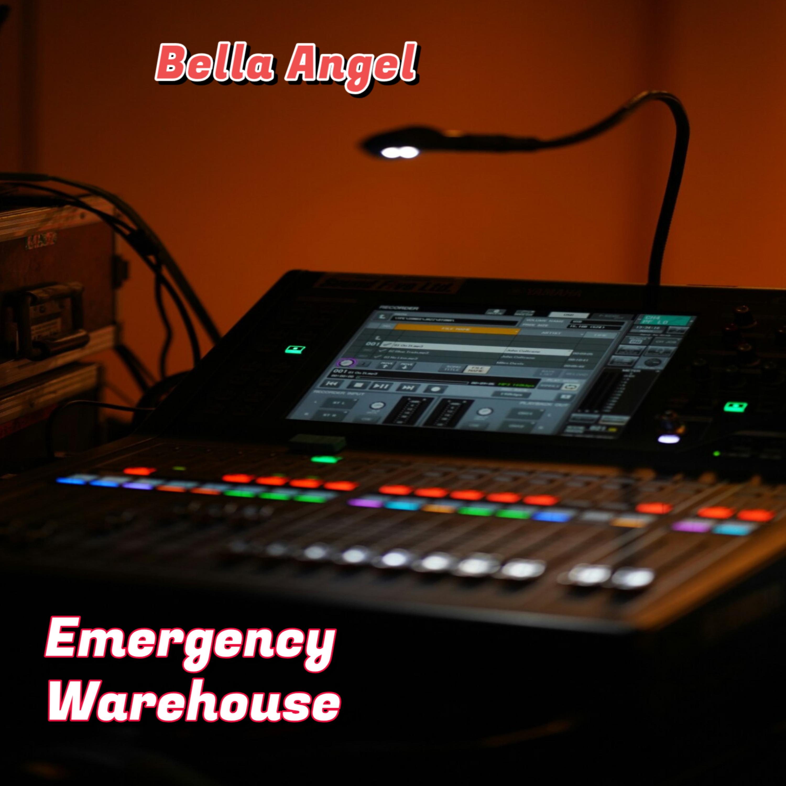 Emergency Warehouse artwork