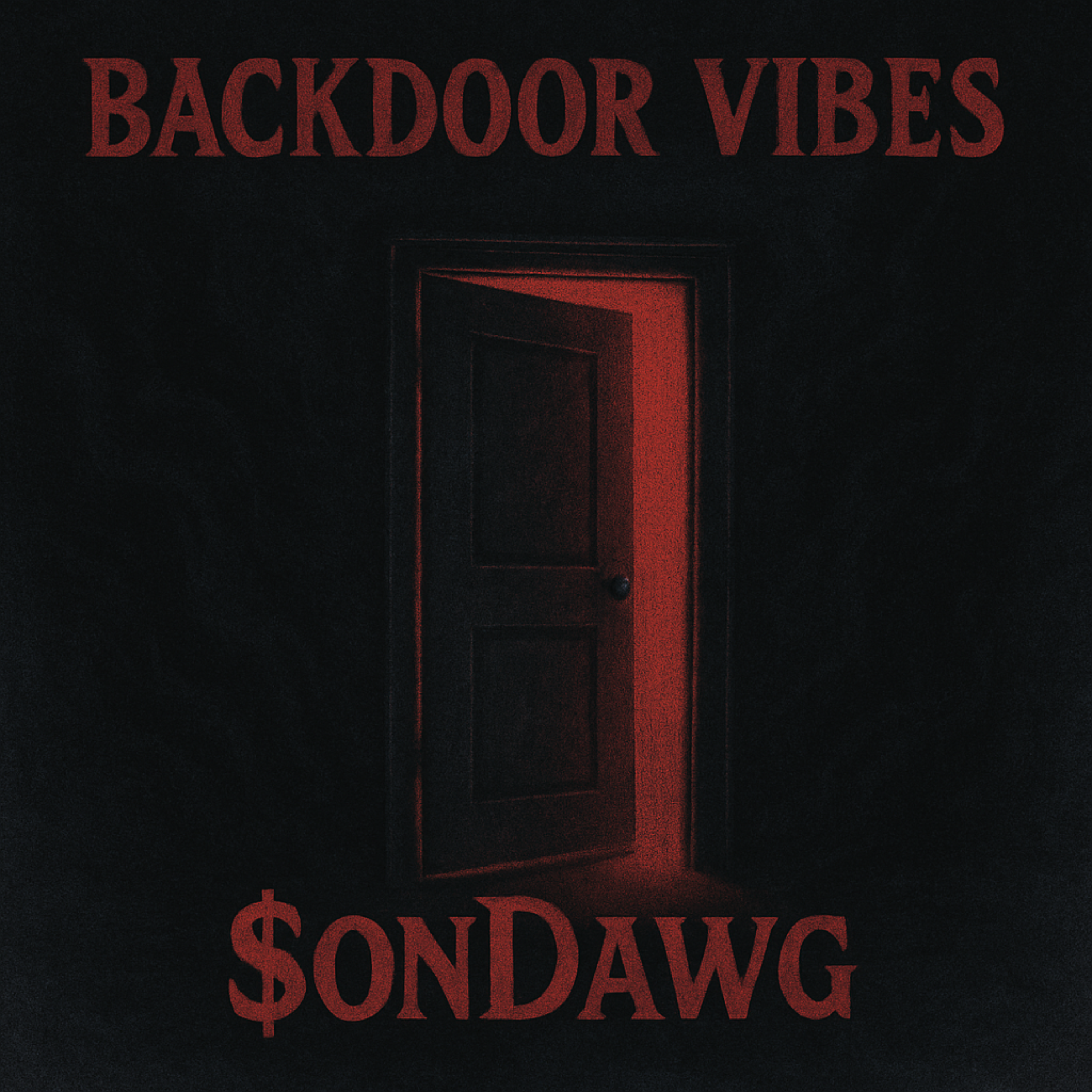 Backdoor Vibez artwork
