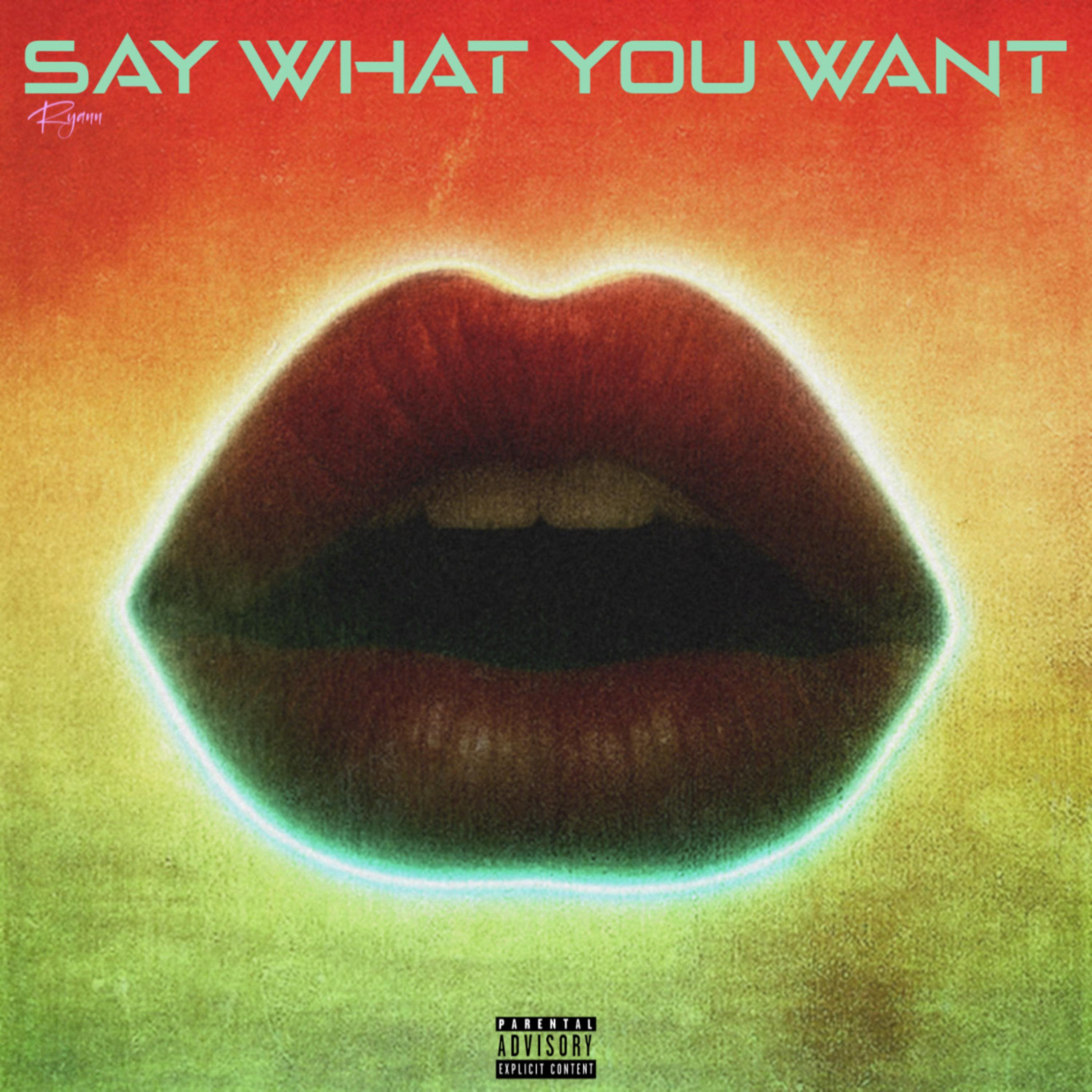 Say What You Want artwork