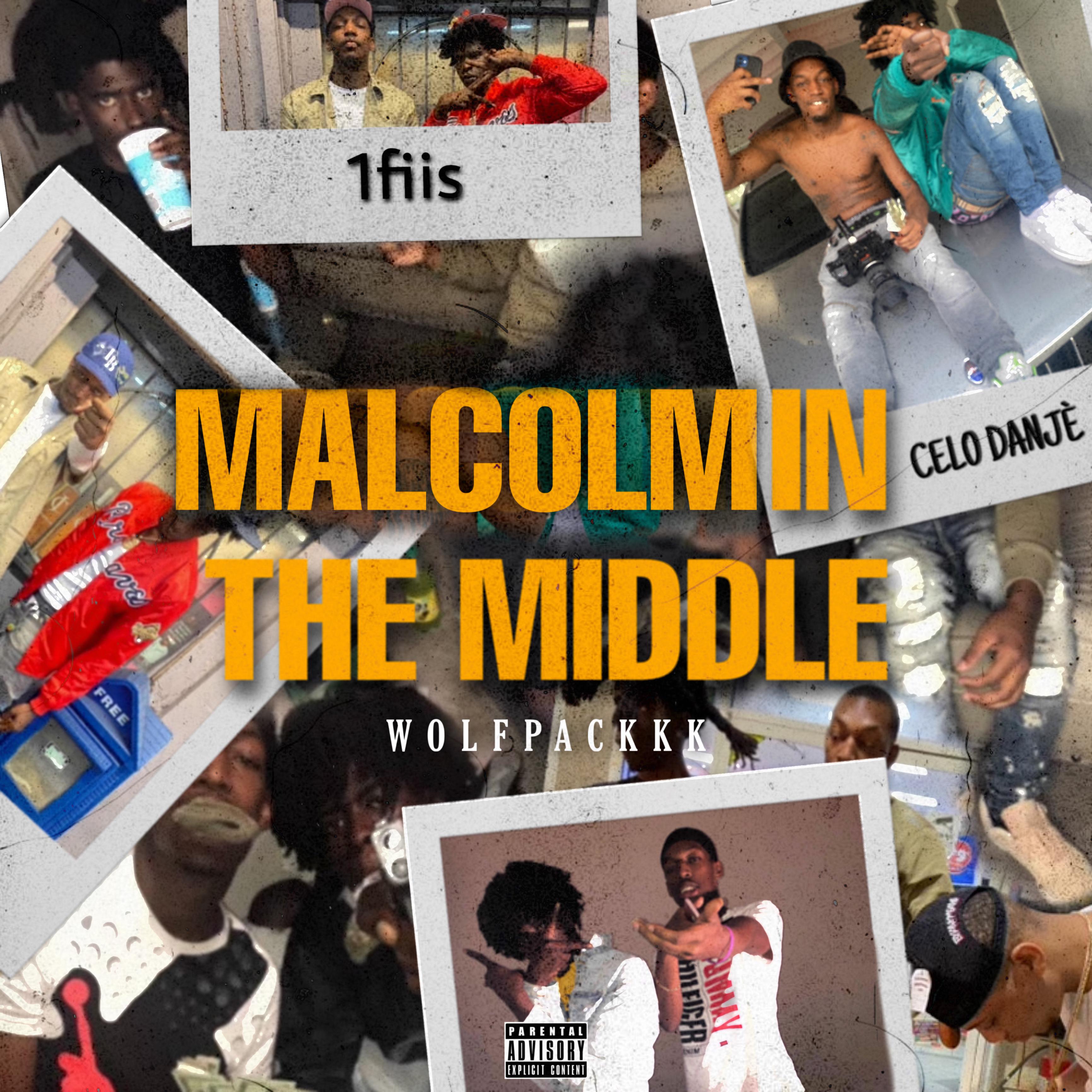 Malcolm In The Middle artwork