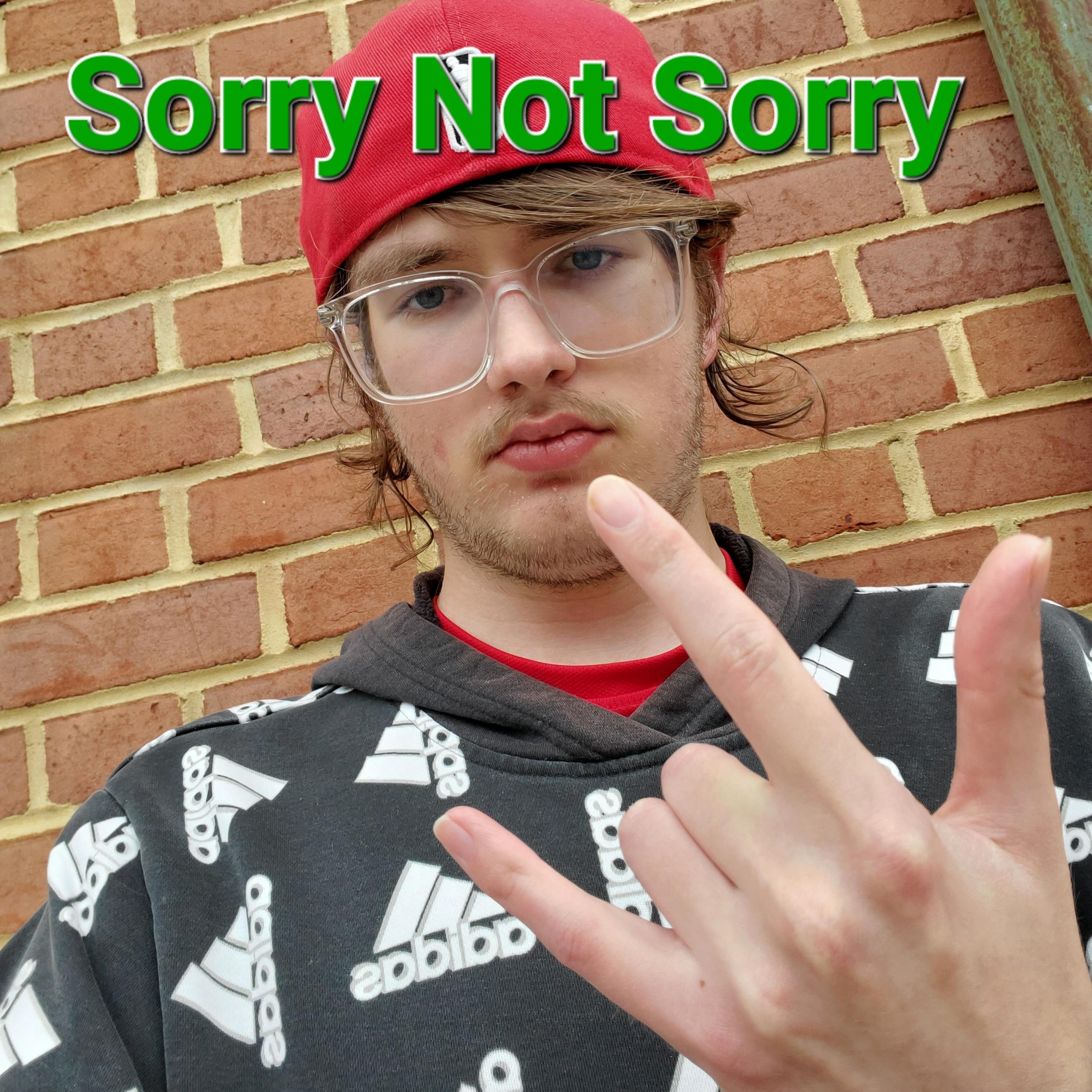 Sorry Not Sorry artwork