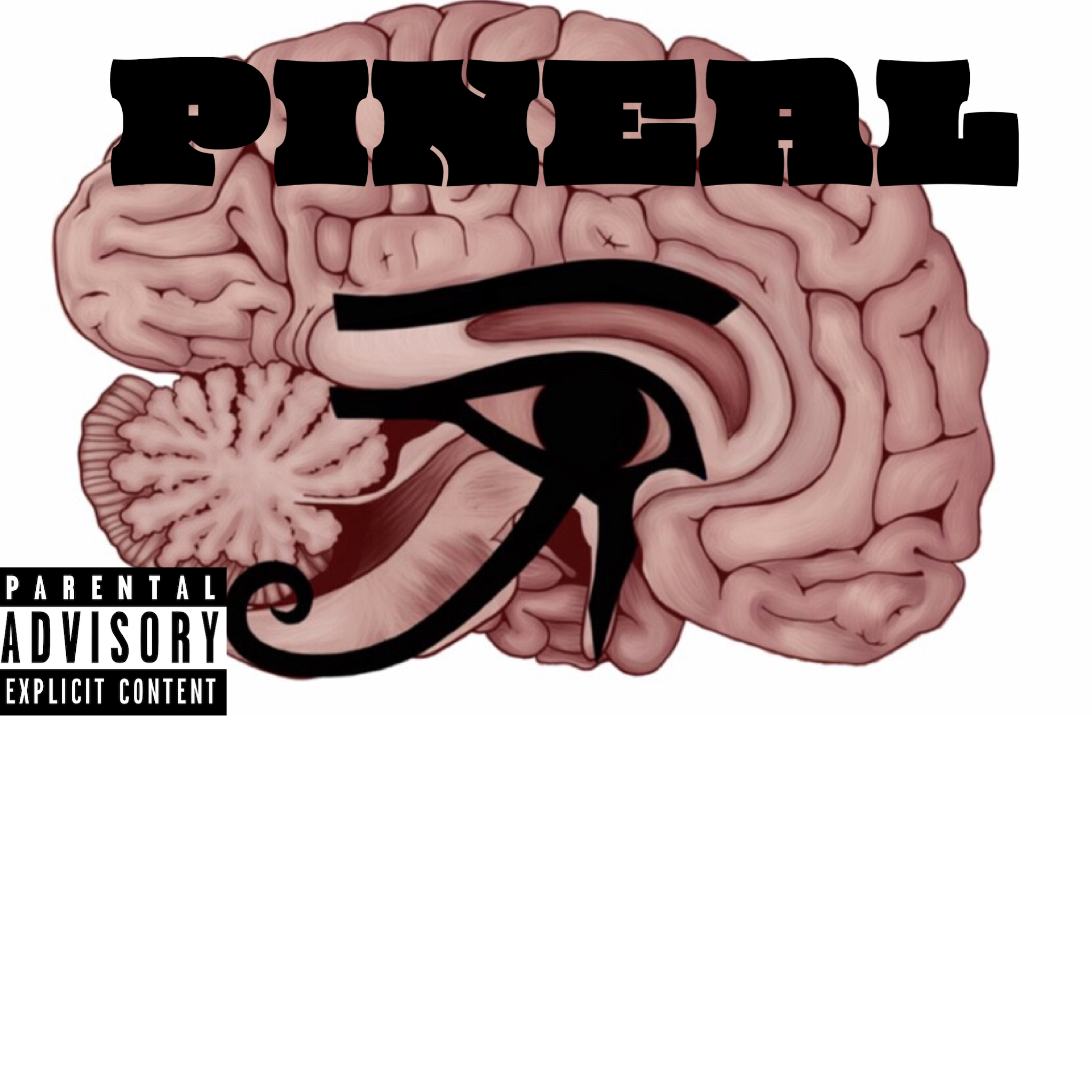 PINEAL artwork