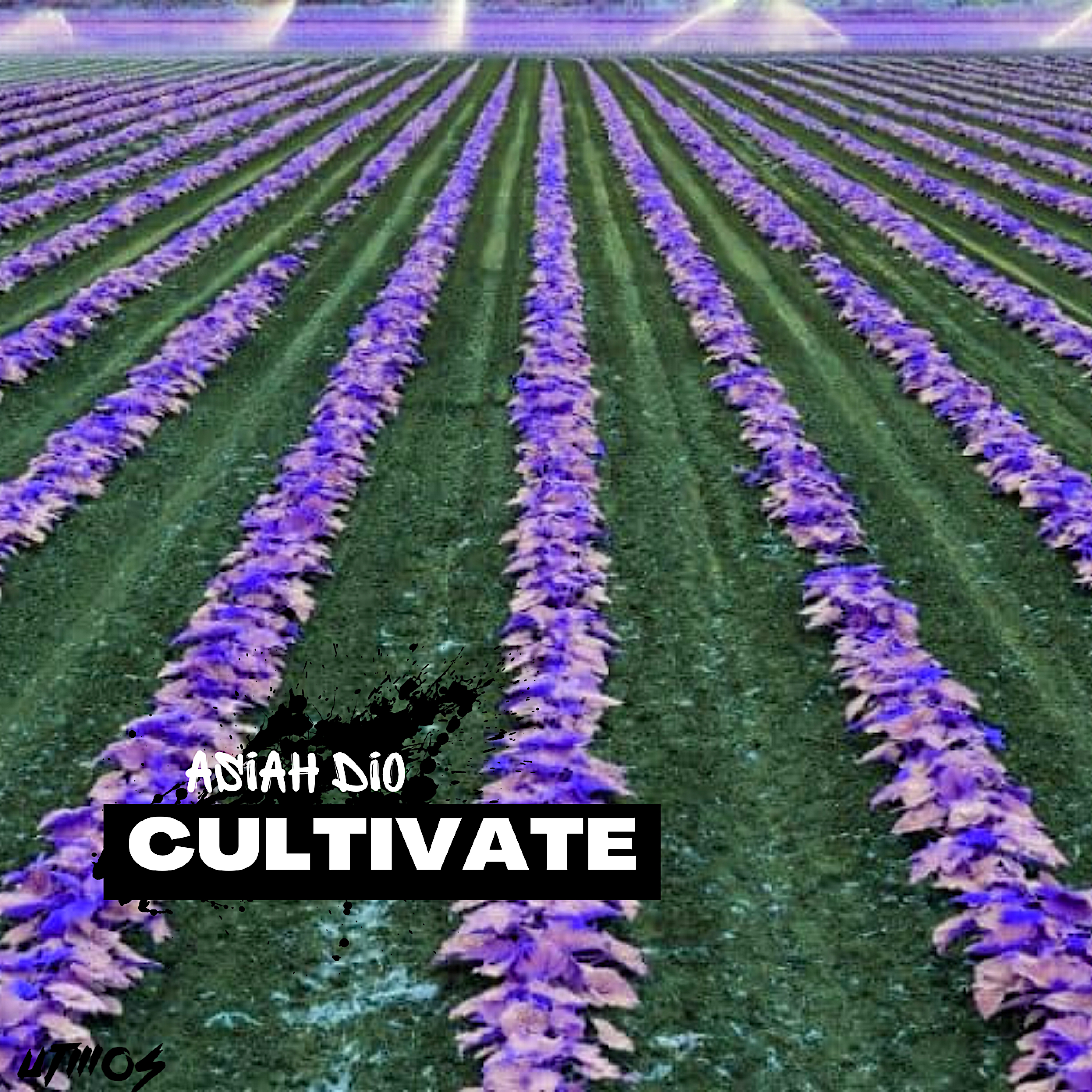 Cultivate by Asiah Dio cover art