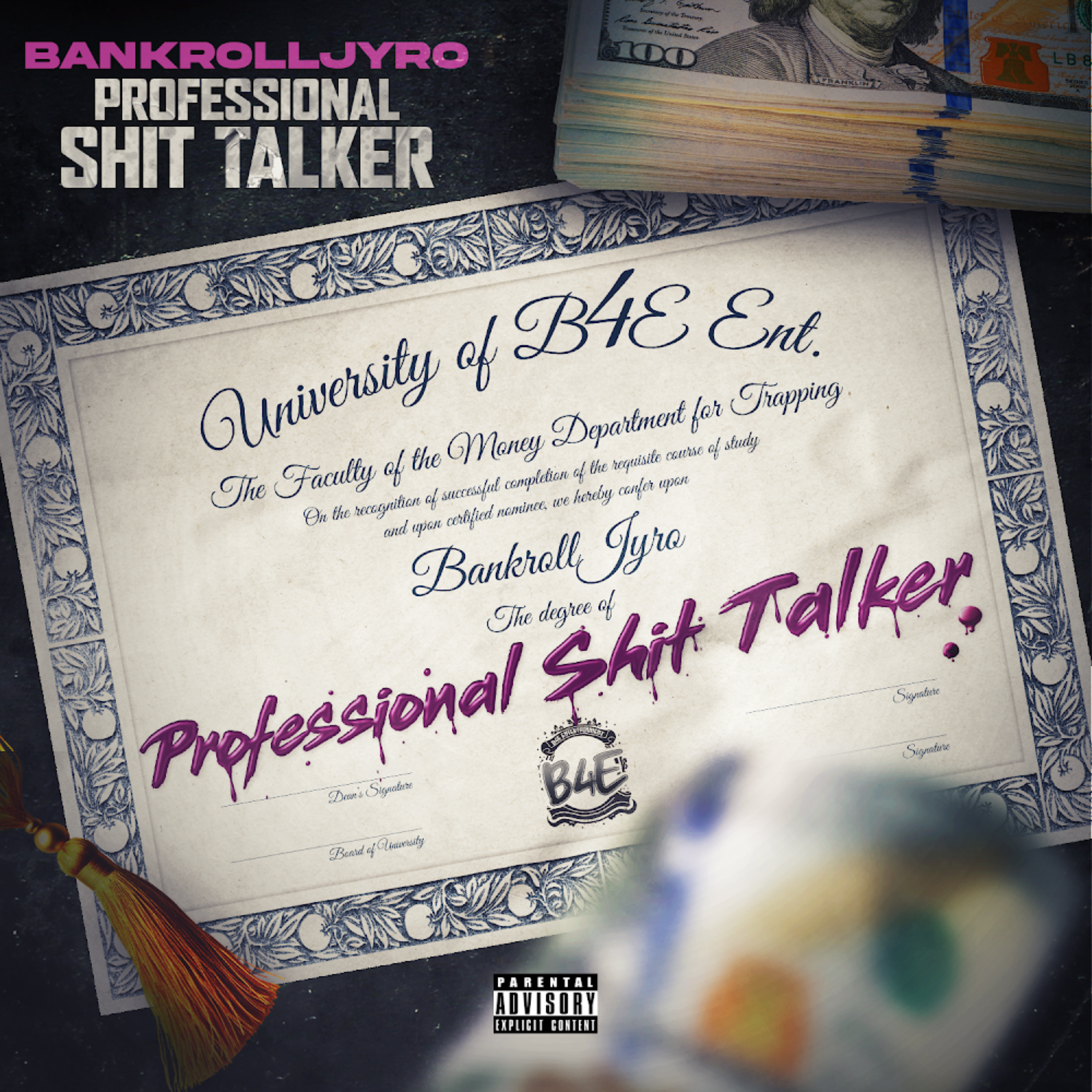 Professional Shit Talker artwork