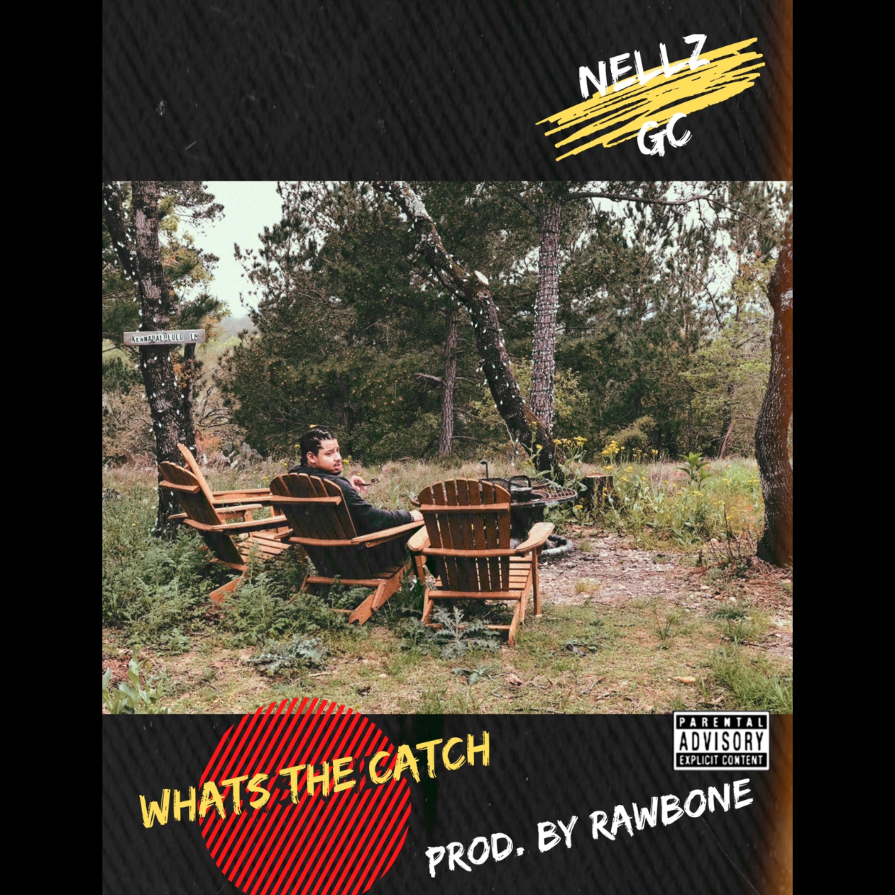 Whats The Catch artwork