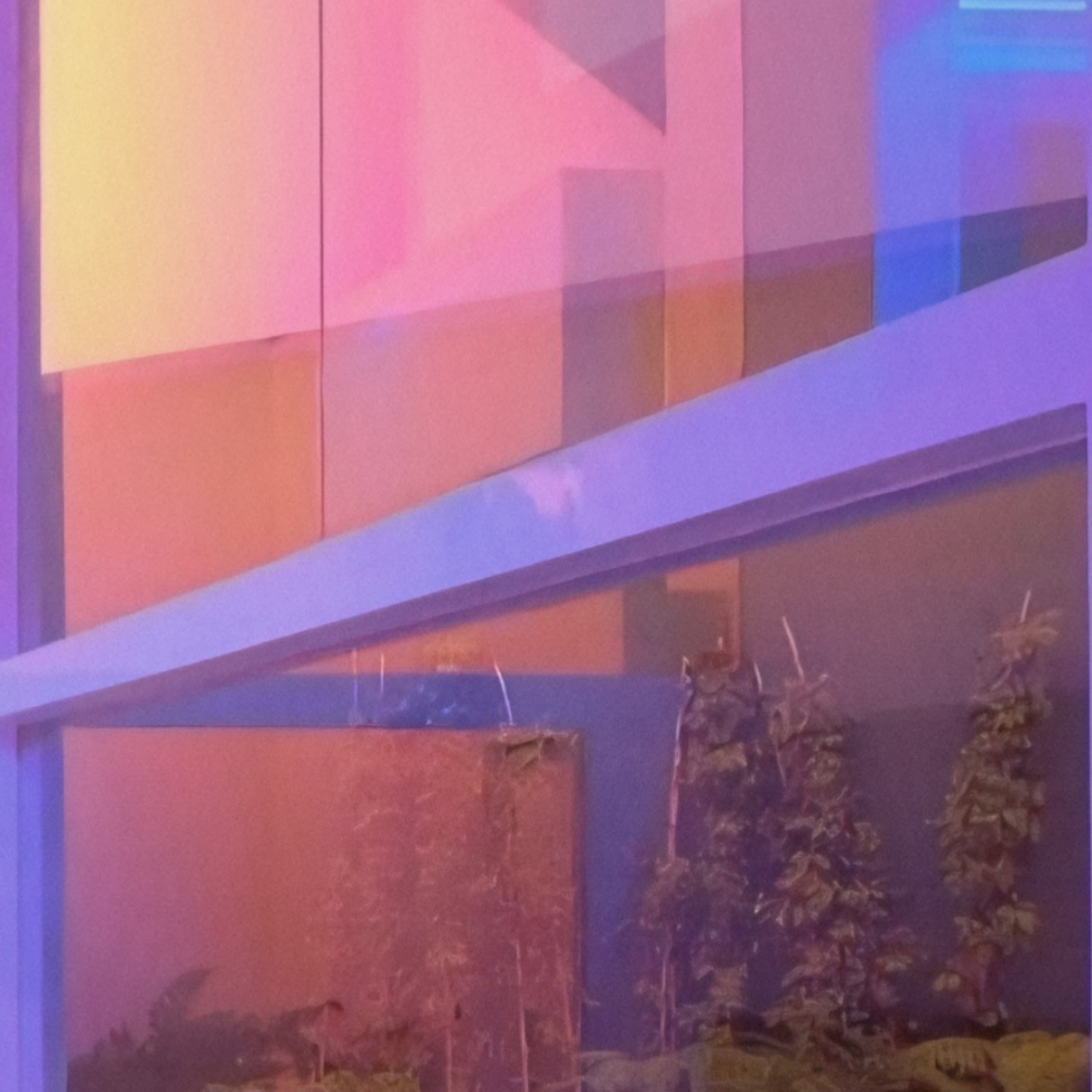 neapolitanhouse artwork