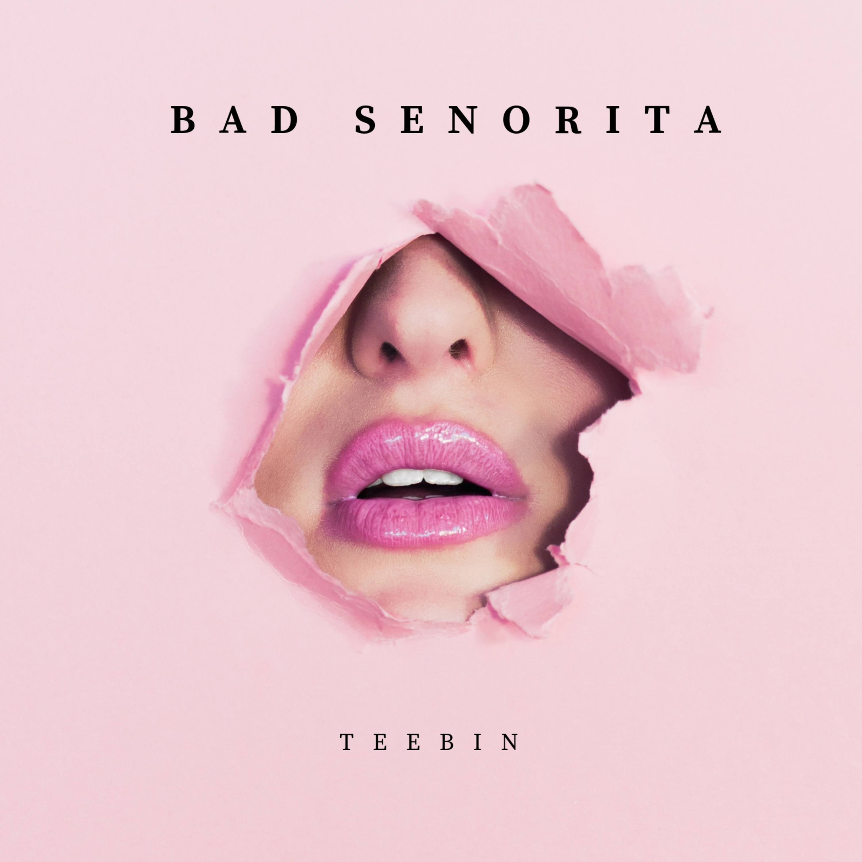 Bad Senorita artwork