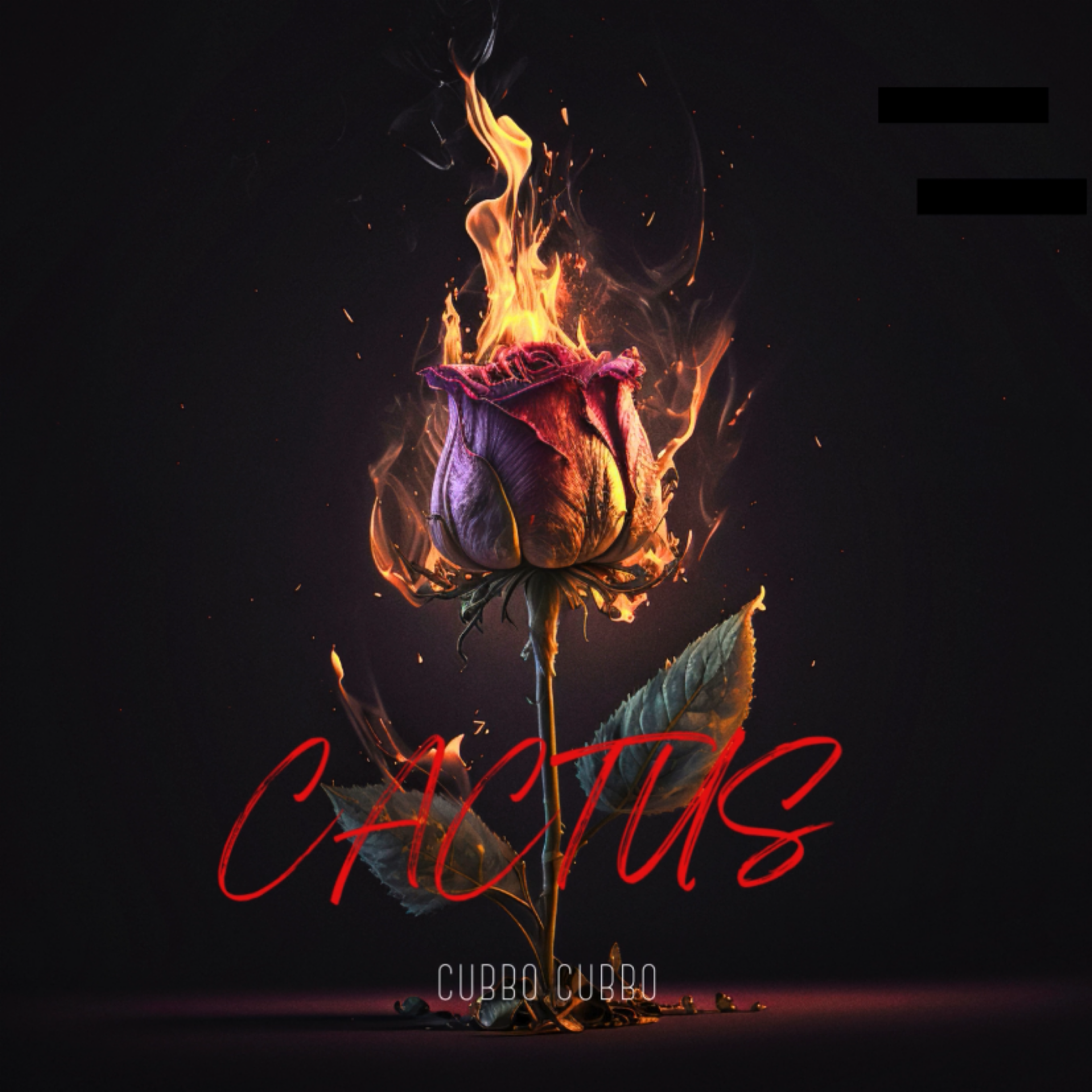 Cactus artwork