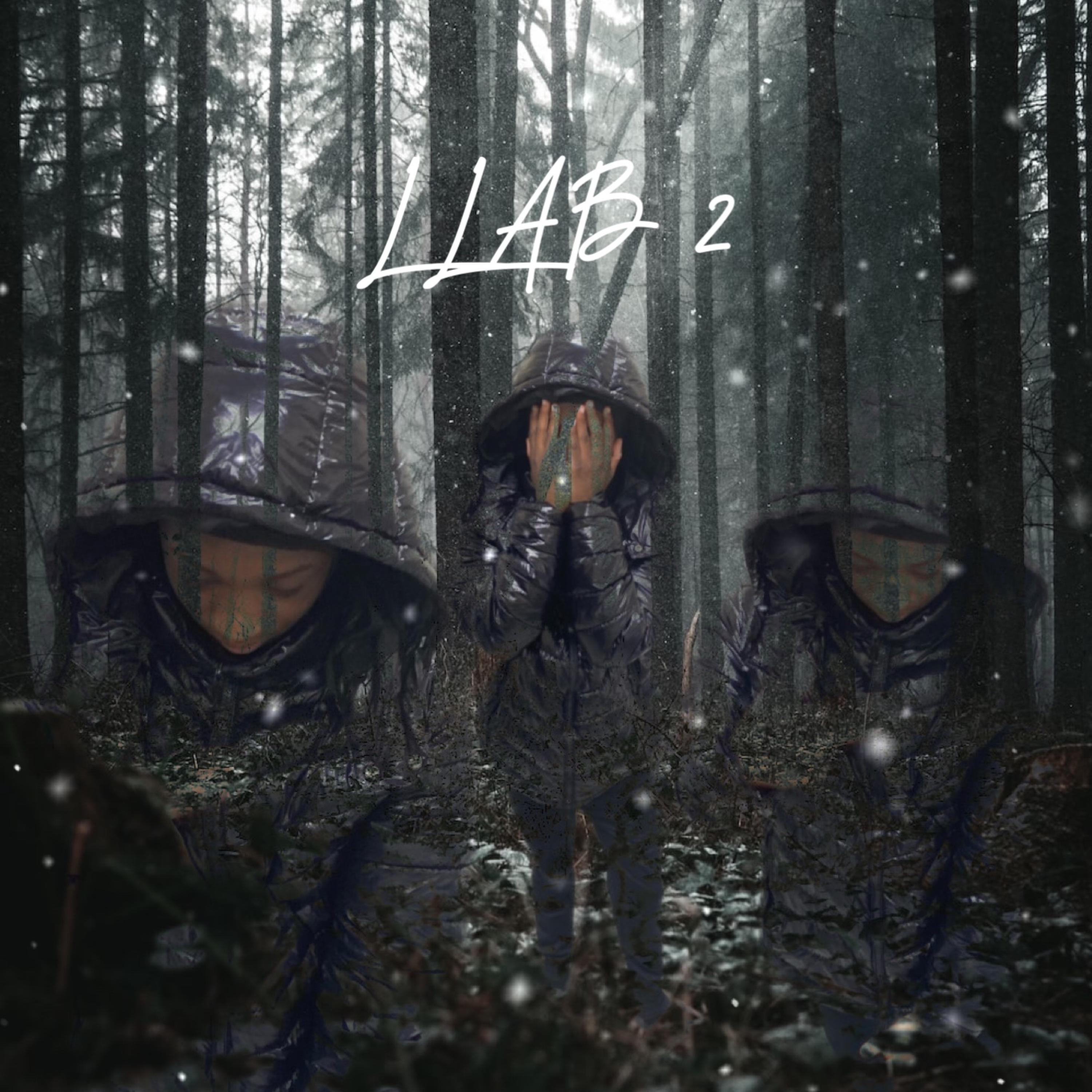 LLAB 2 by Bkabkytap cover art