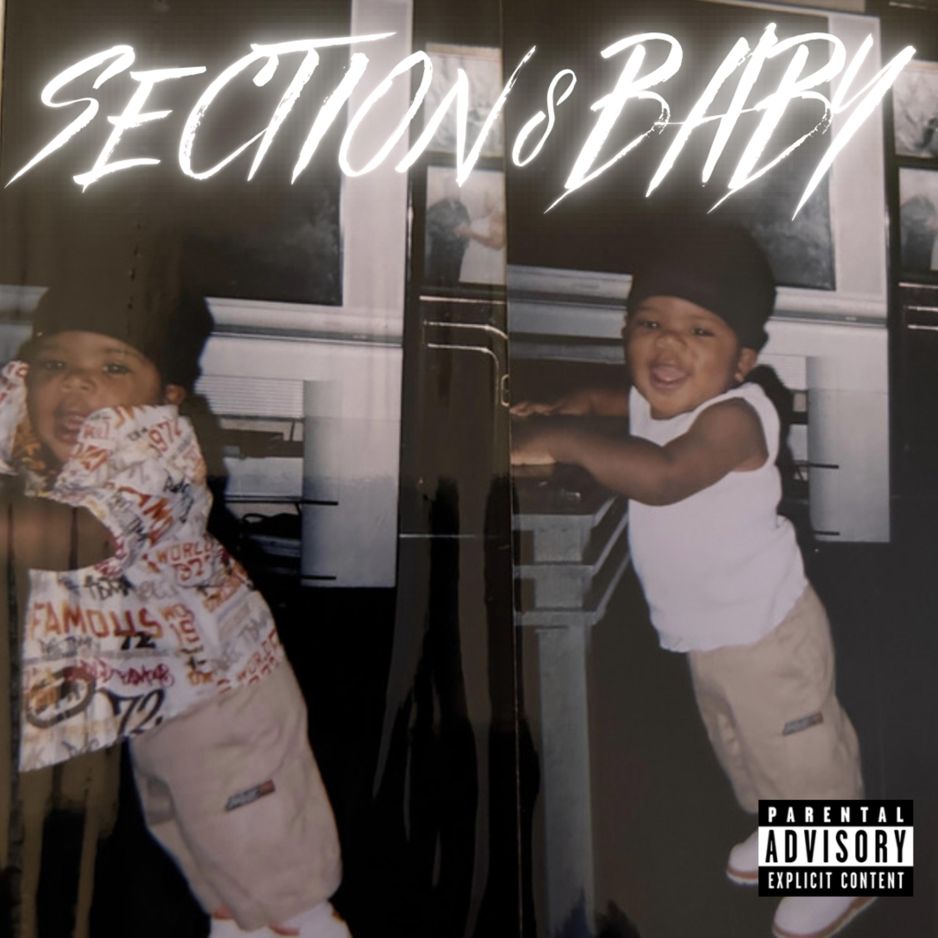 SECTION 8 BABY artwork