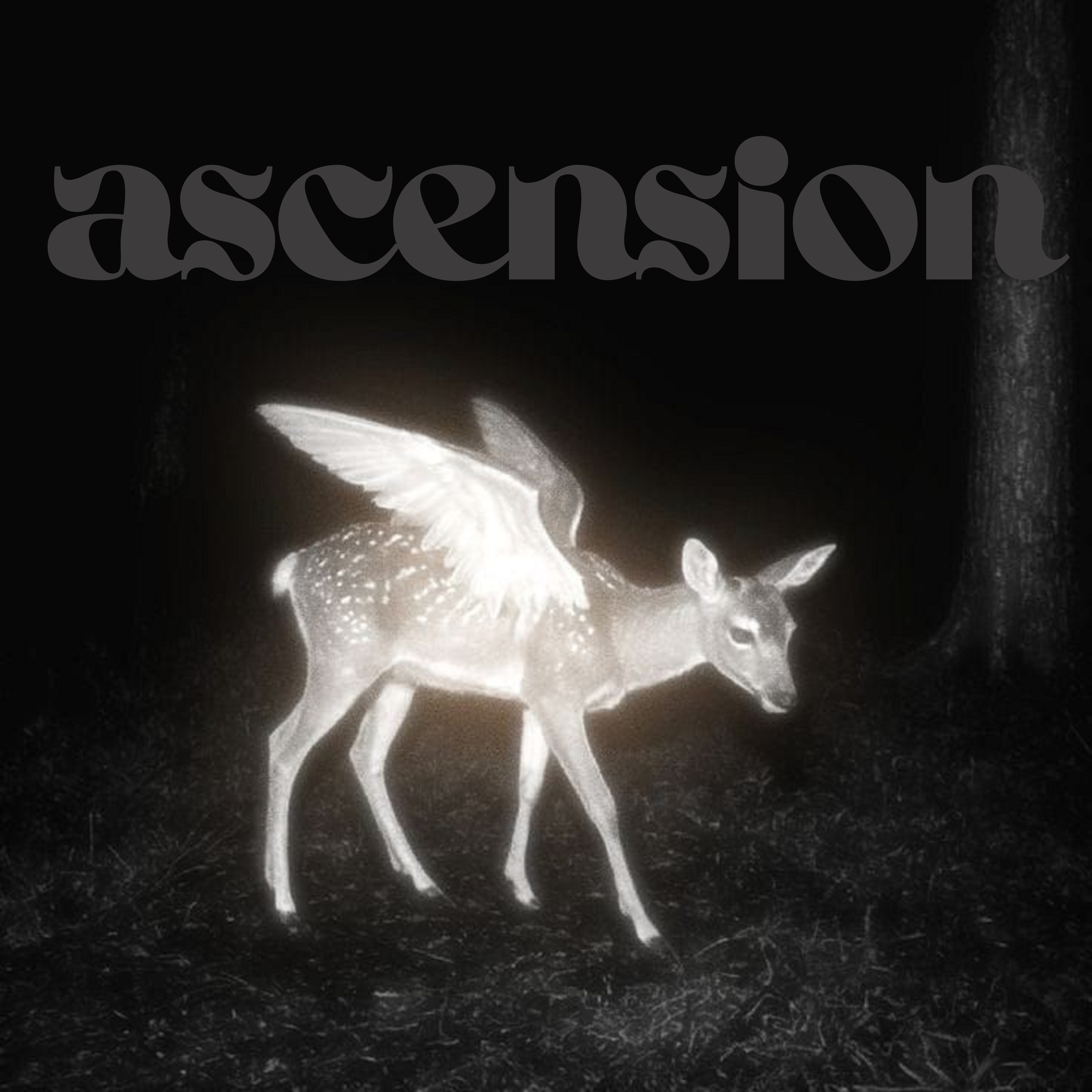 ascension artwork