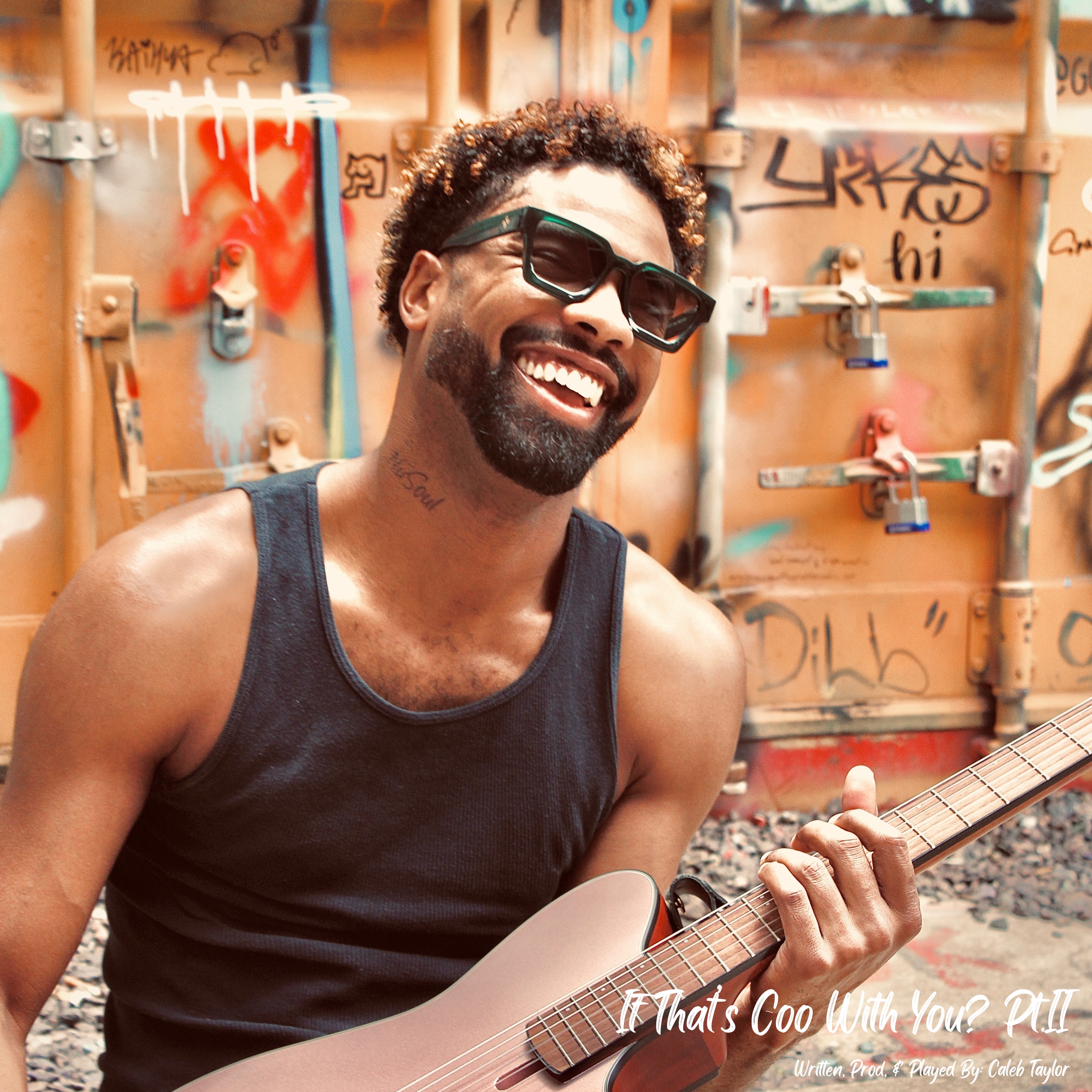 If That’s Coo With You? Pt.II artwork