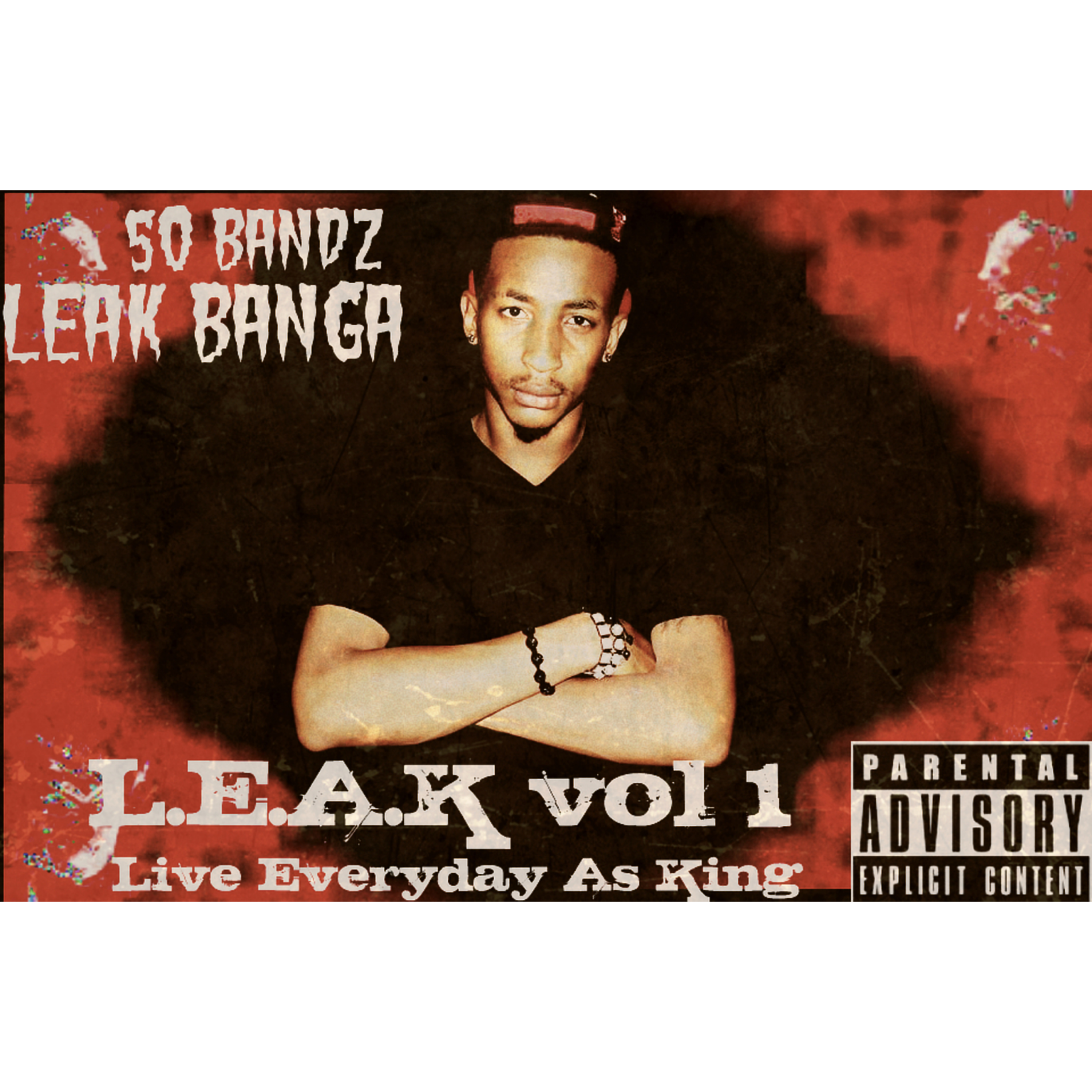 Wilding In The Party artwork