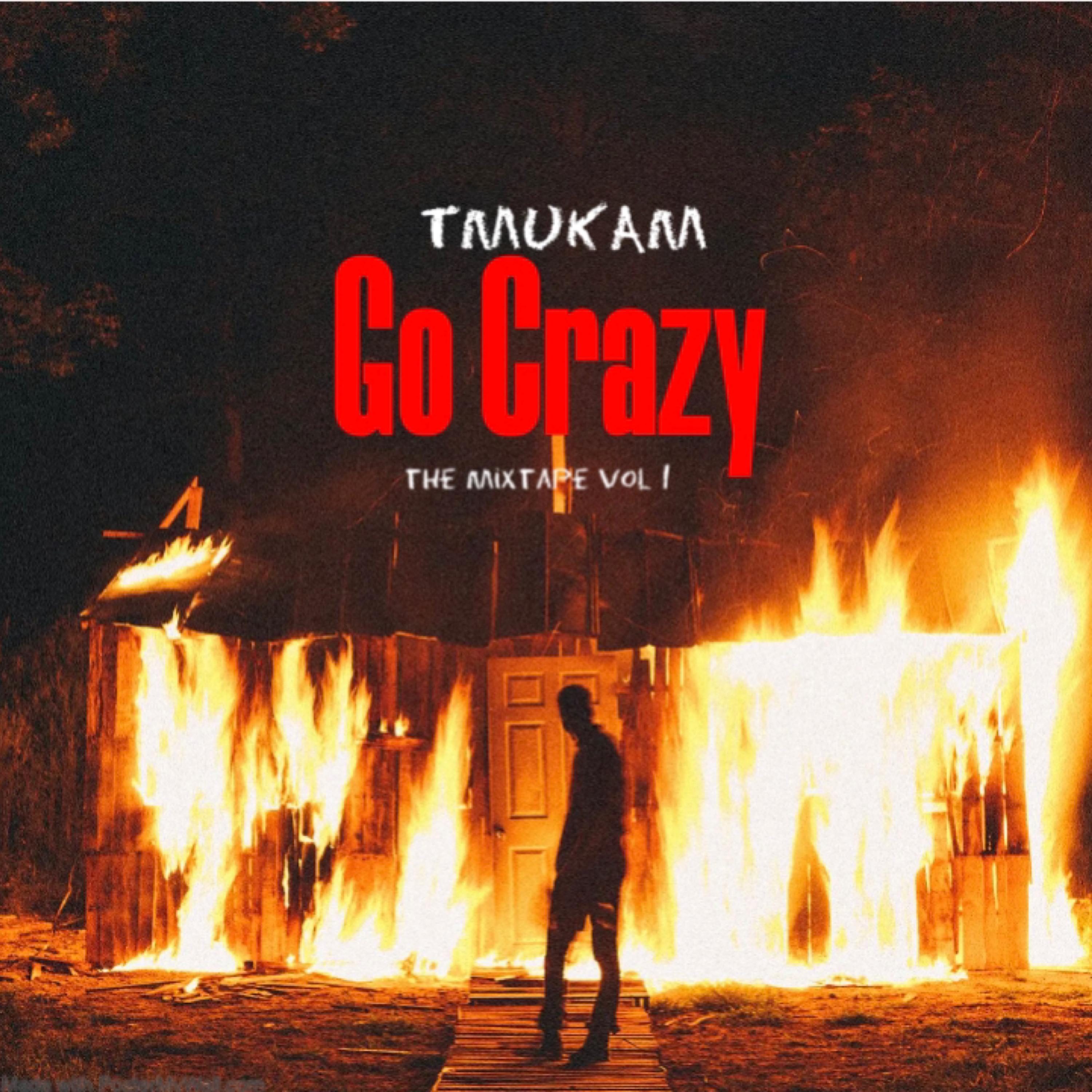 Go Crazy by TMUKAM cover art