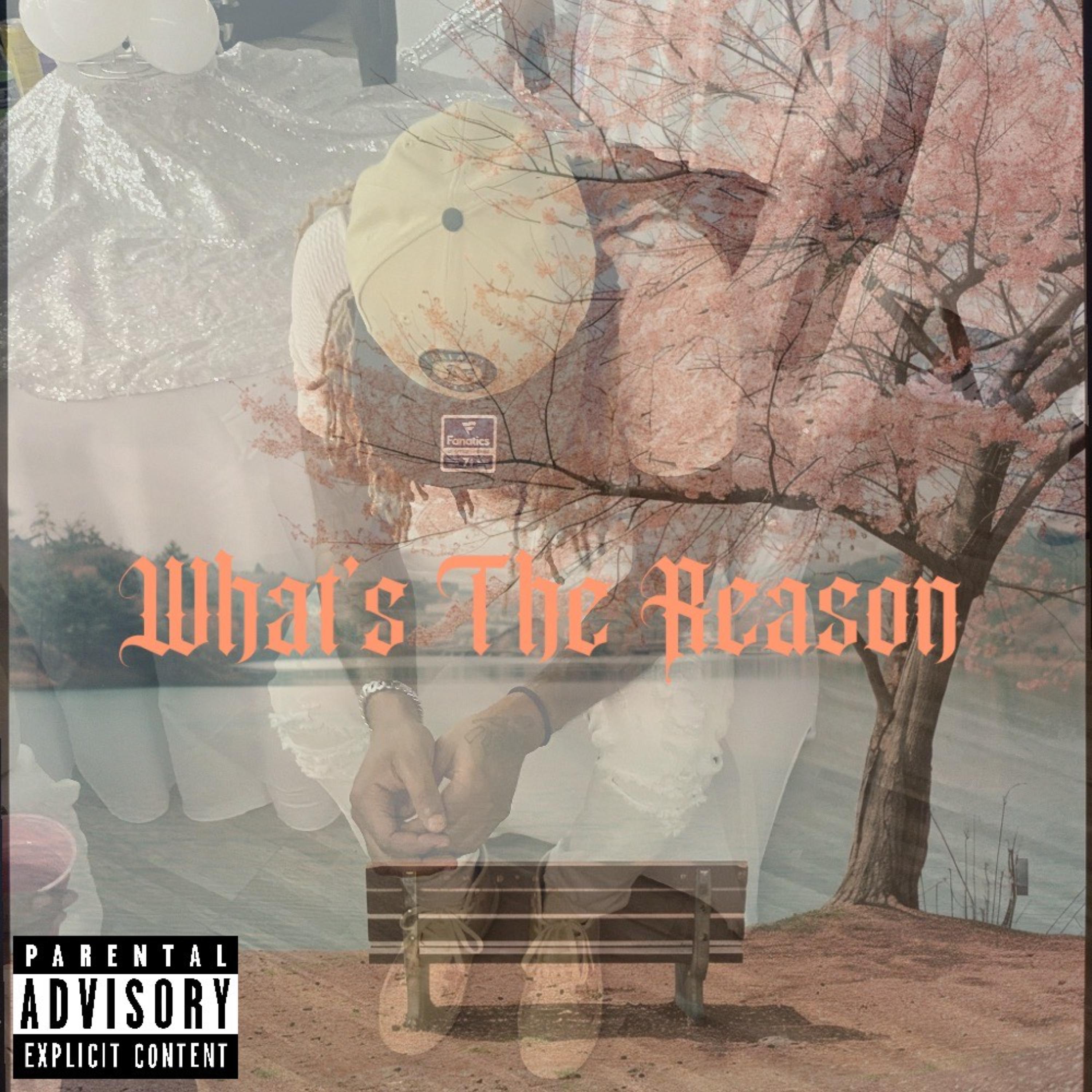What's The Reason artwork