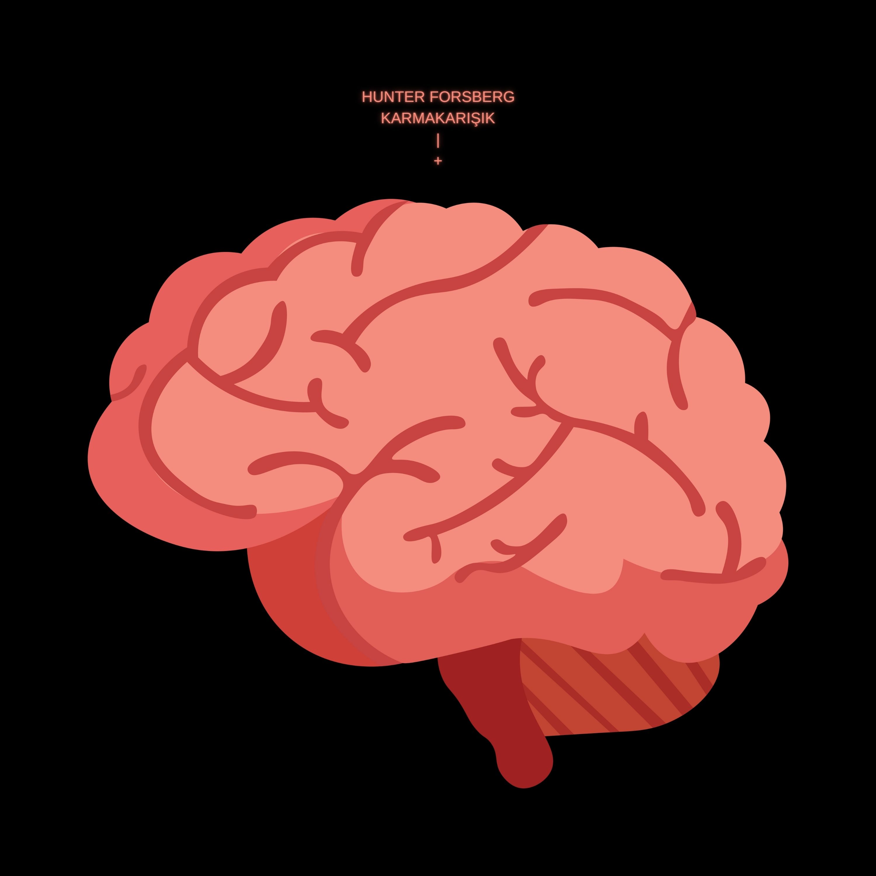 Karmakarışık artwork