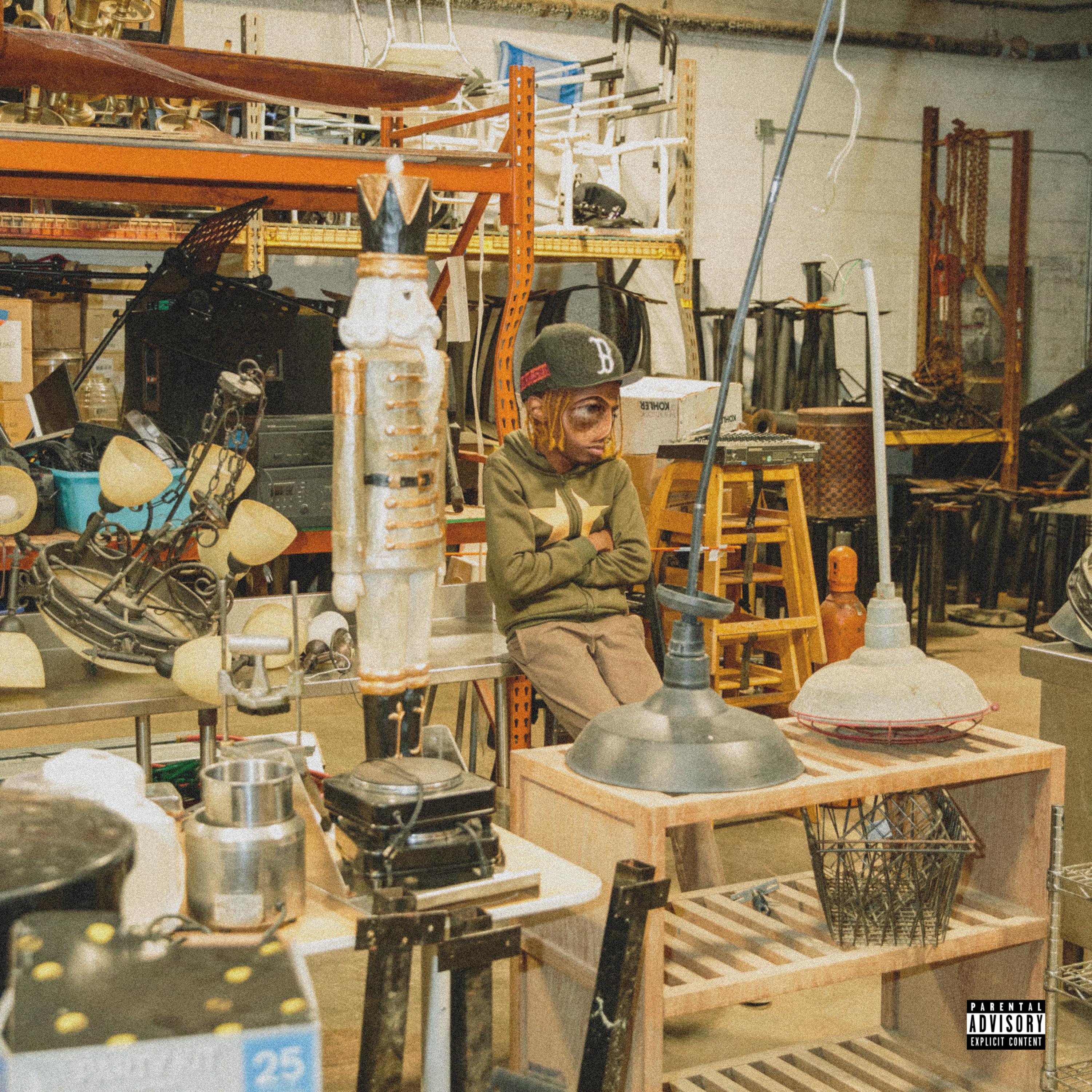 WHY THE F*** NOT?! artwork