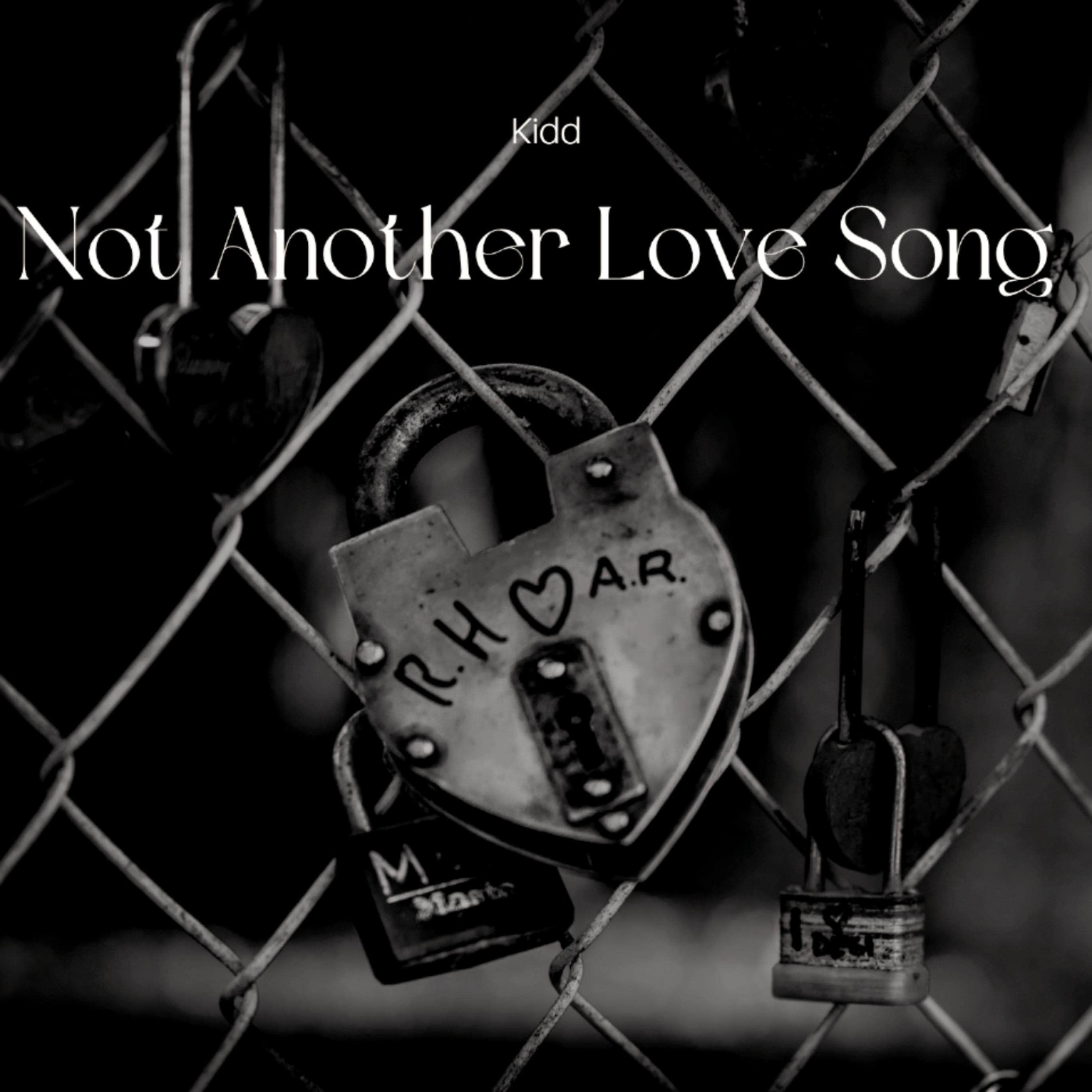 Not Another Love Song  artwork