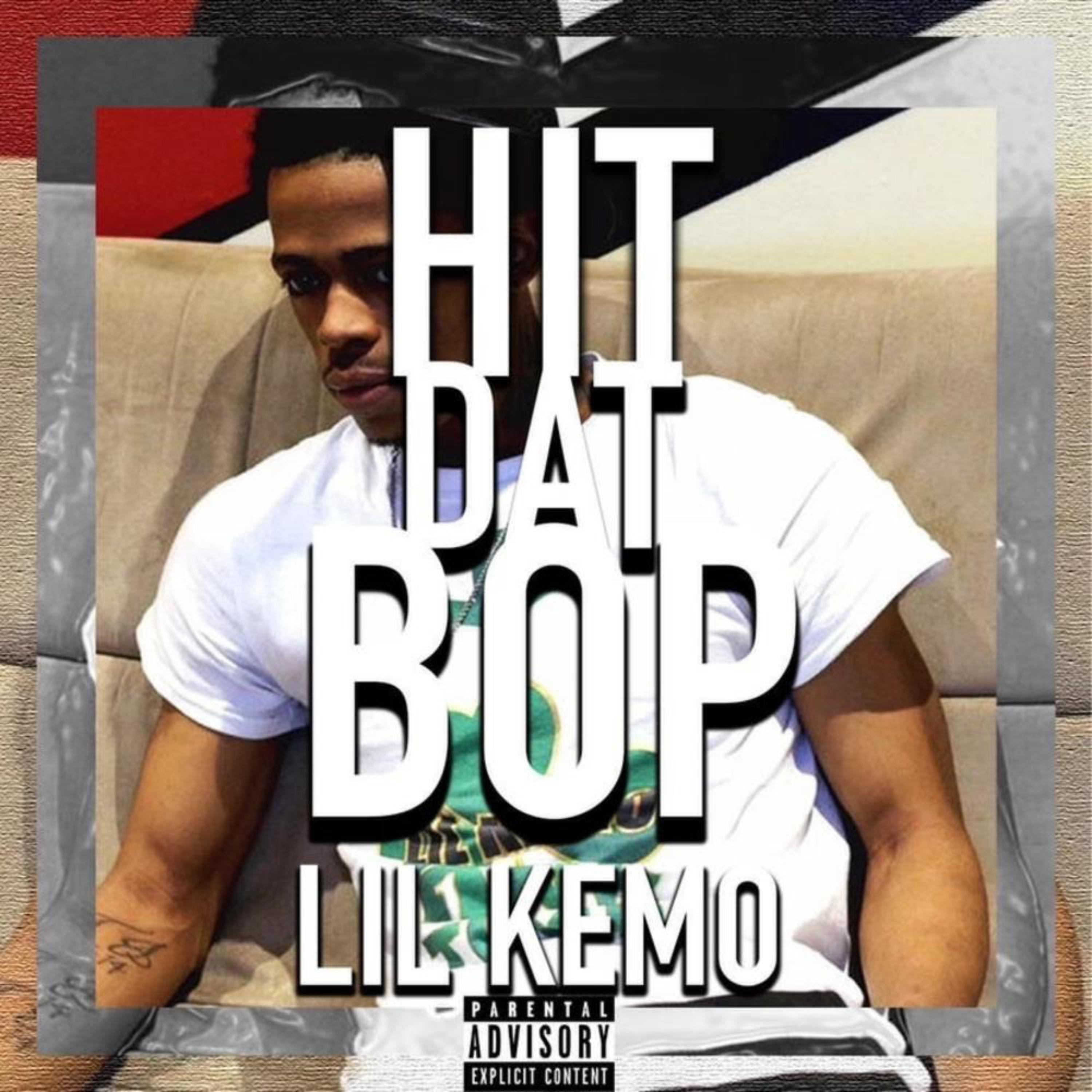 HIT DAT BOP artwork