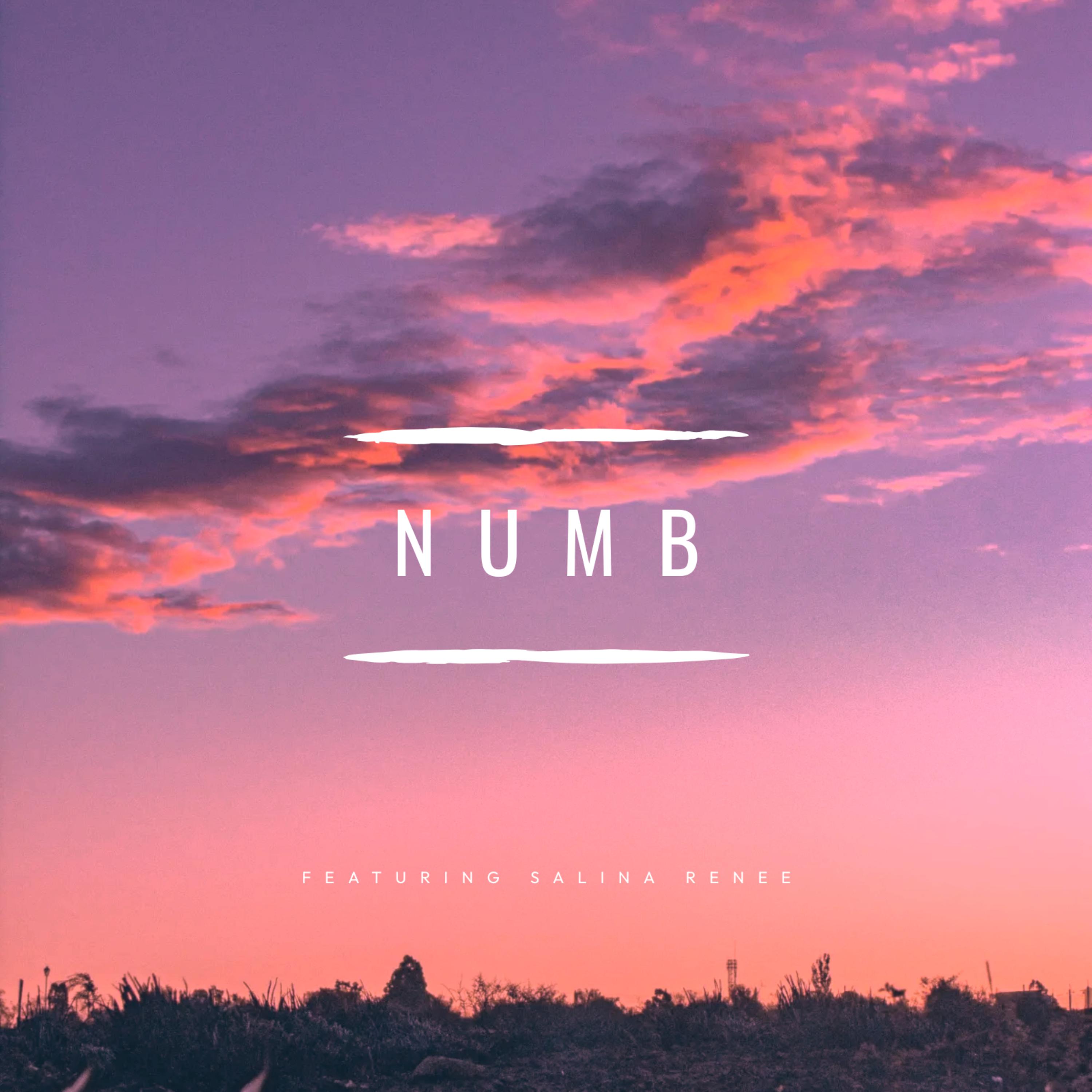 Numb artwork