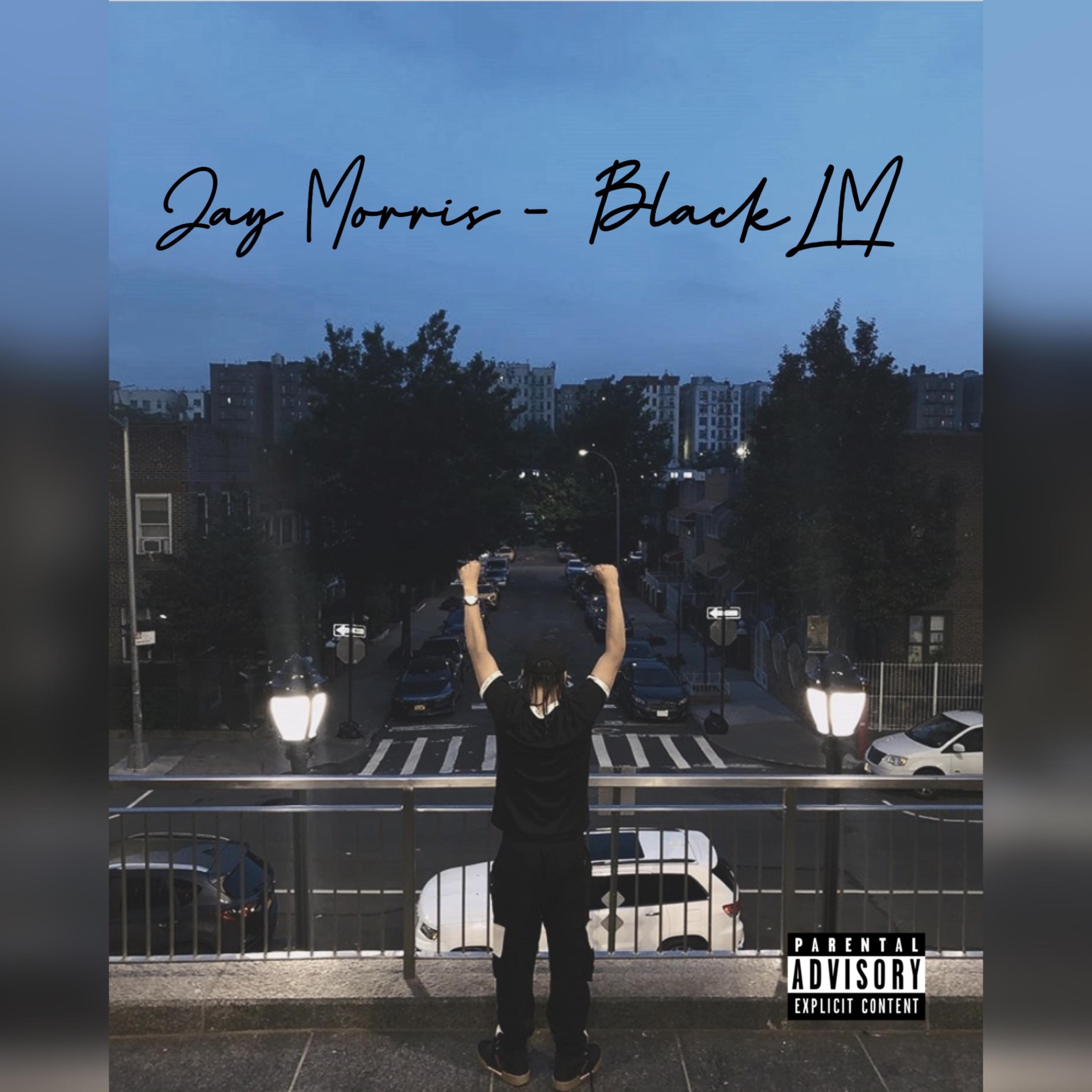 BlackLM by Jay Morris cover art