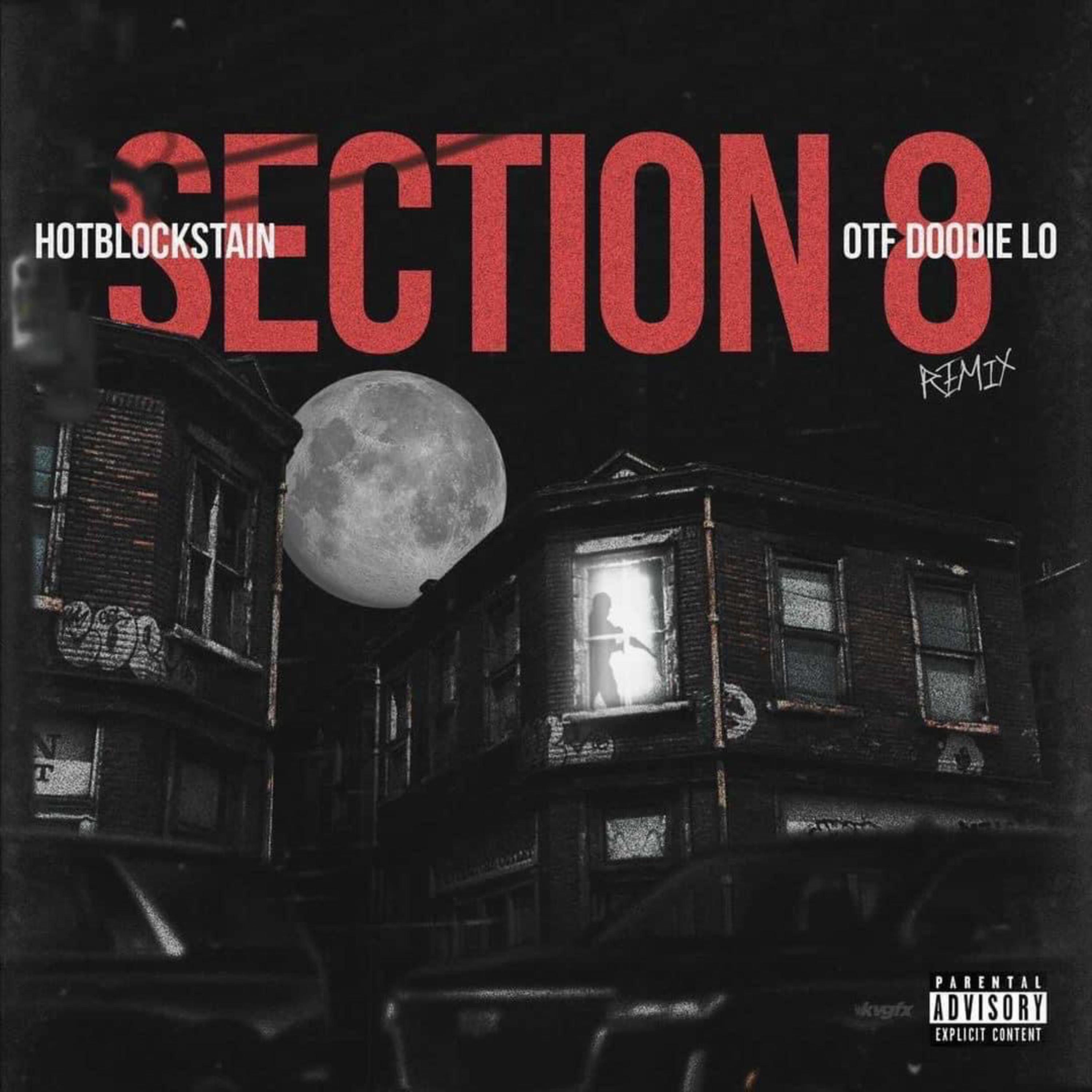 Section 8 remix artwork