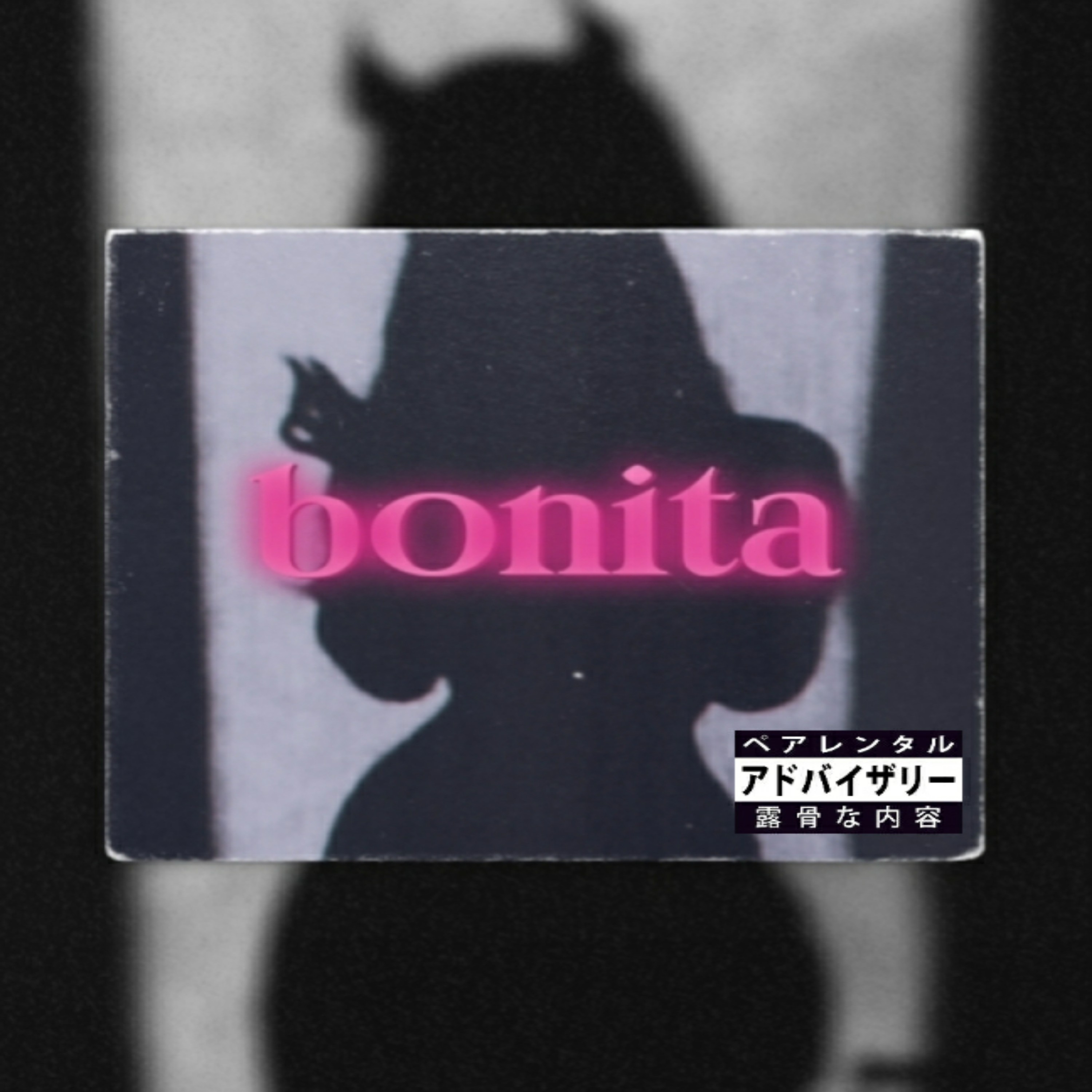 Bonita artwork