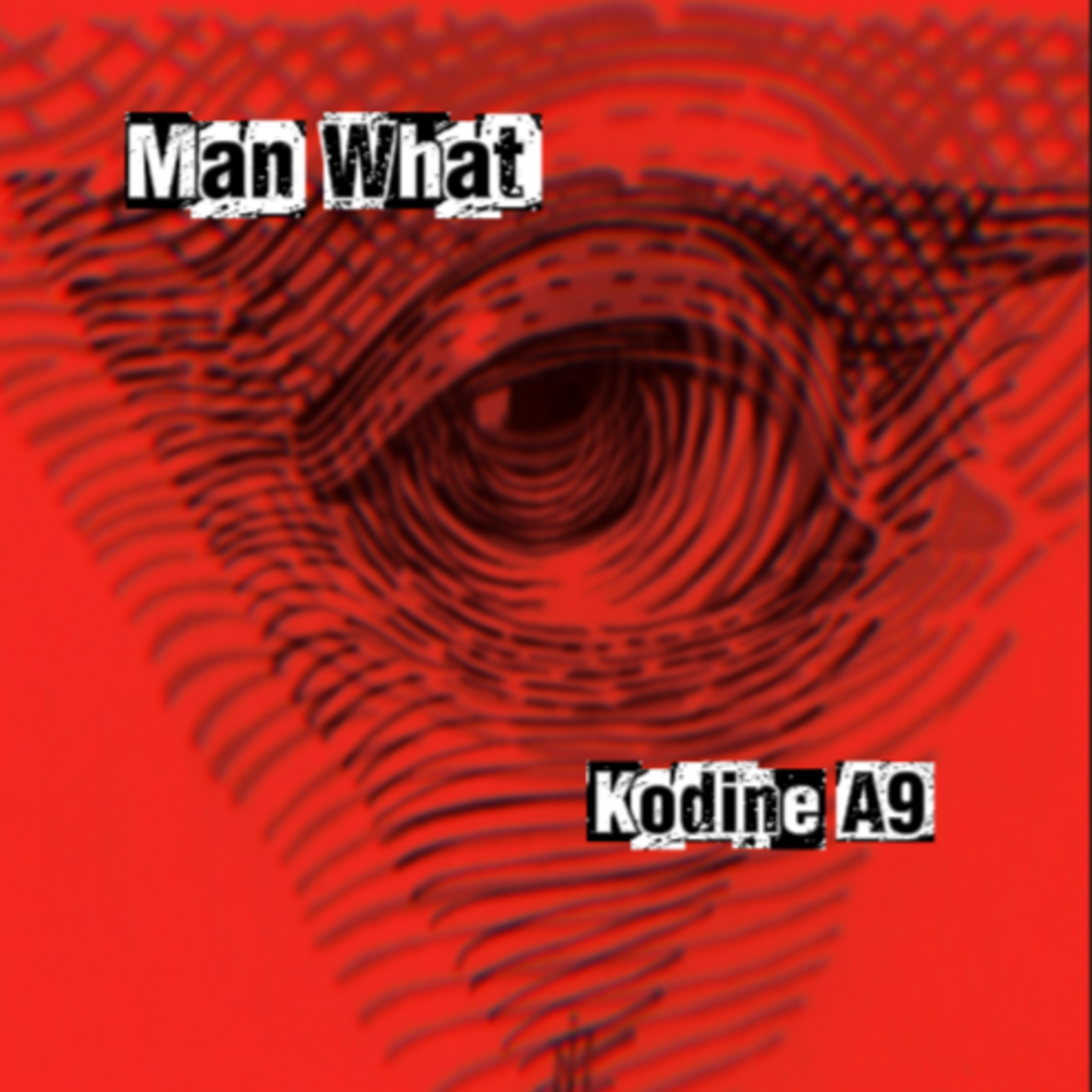 Man What by Kodine A9 cover art