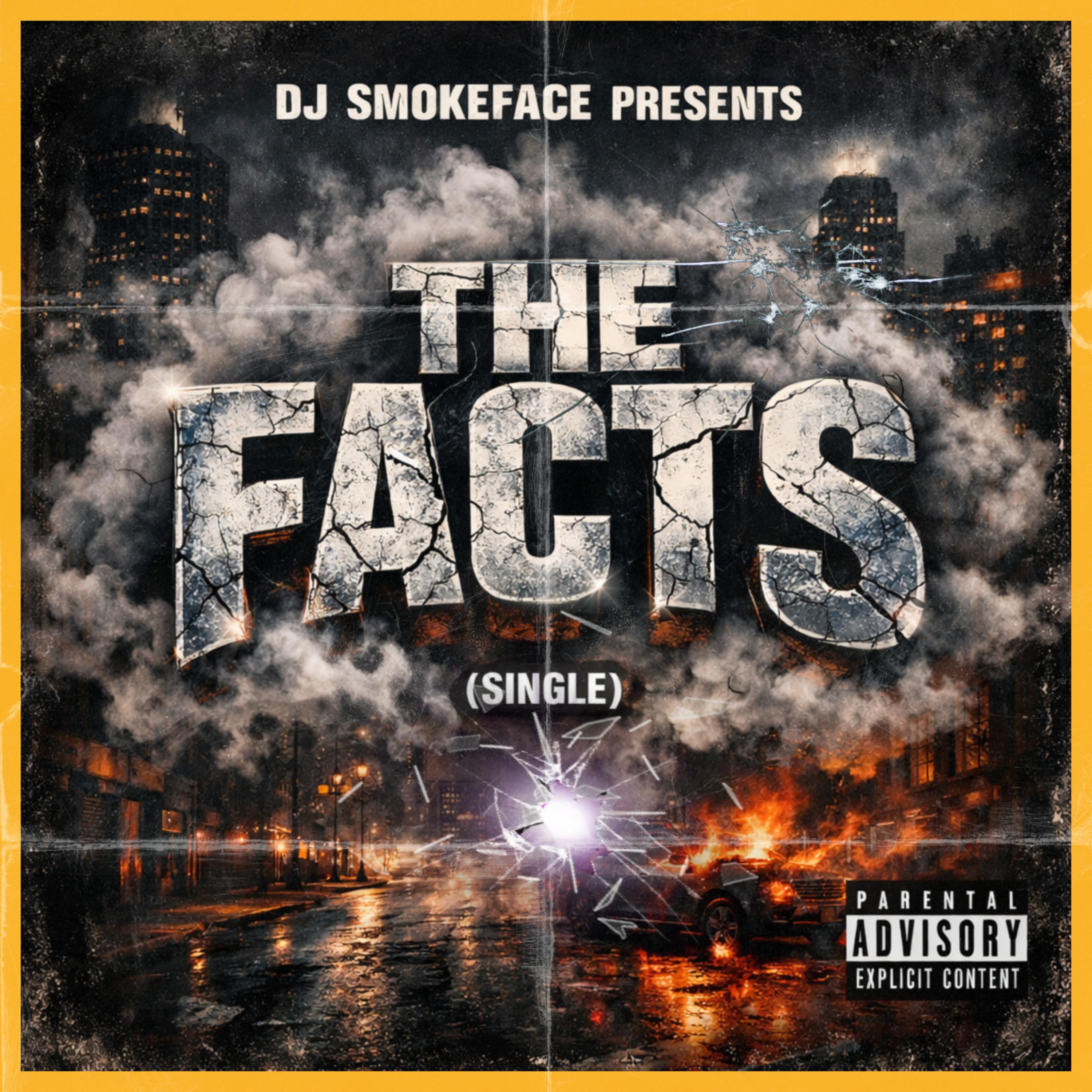 The Facts artwork