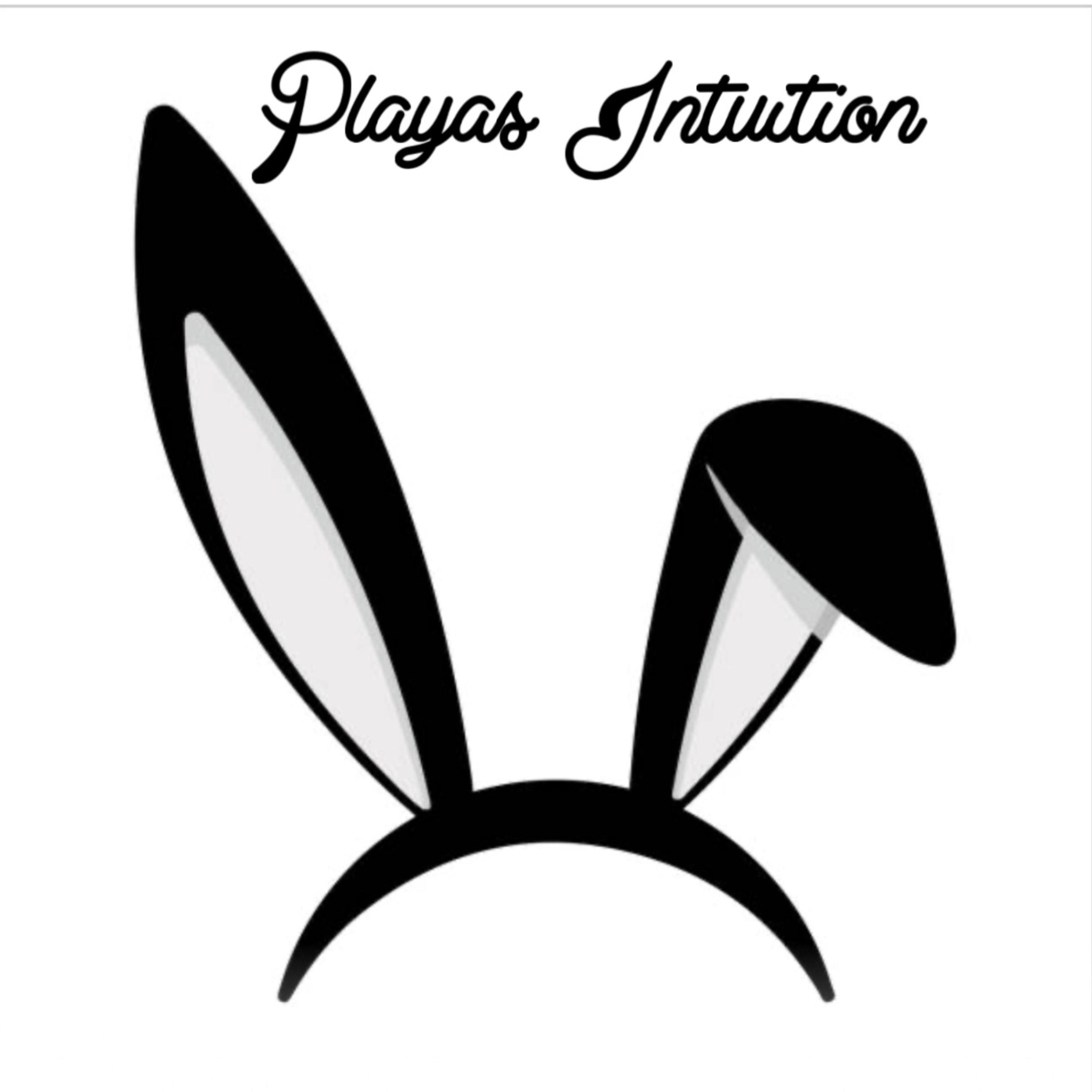 Playas Intuition artwork
