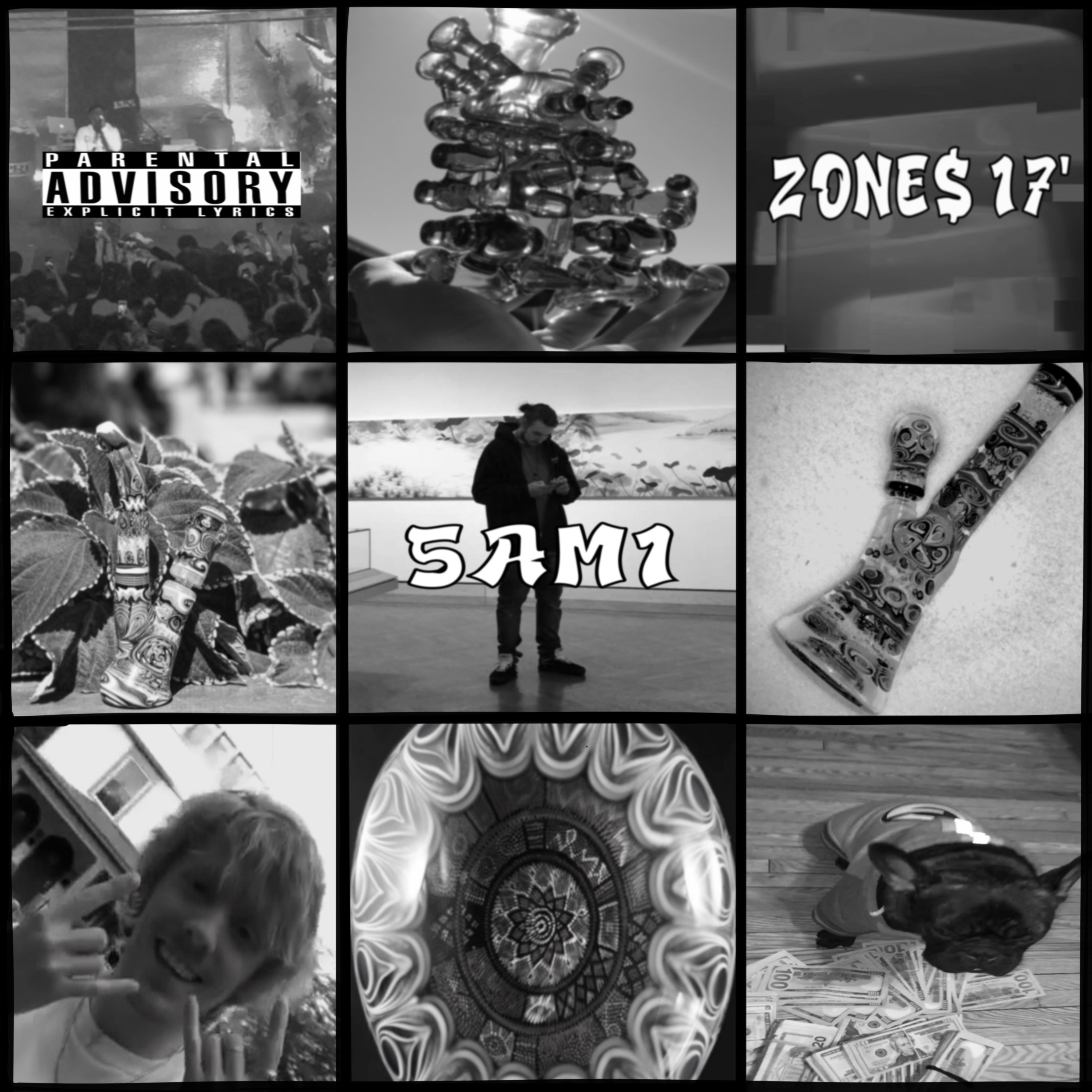 Zone$ 17’ artwork