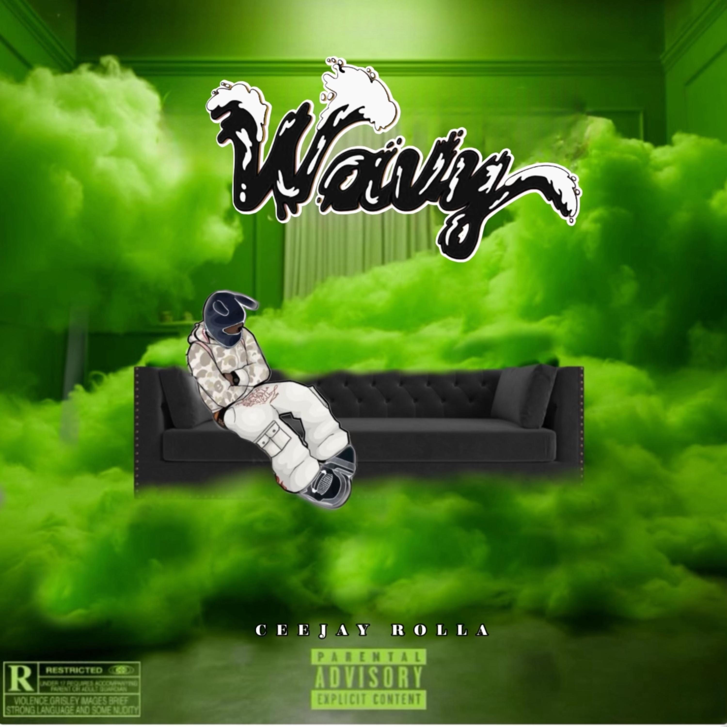 Wavy by CeeJay Rolla cover art