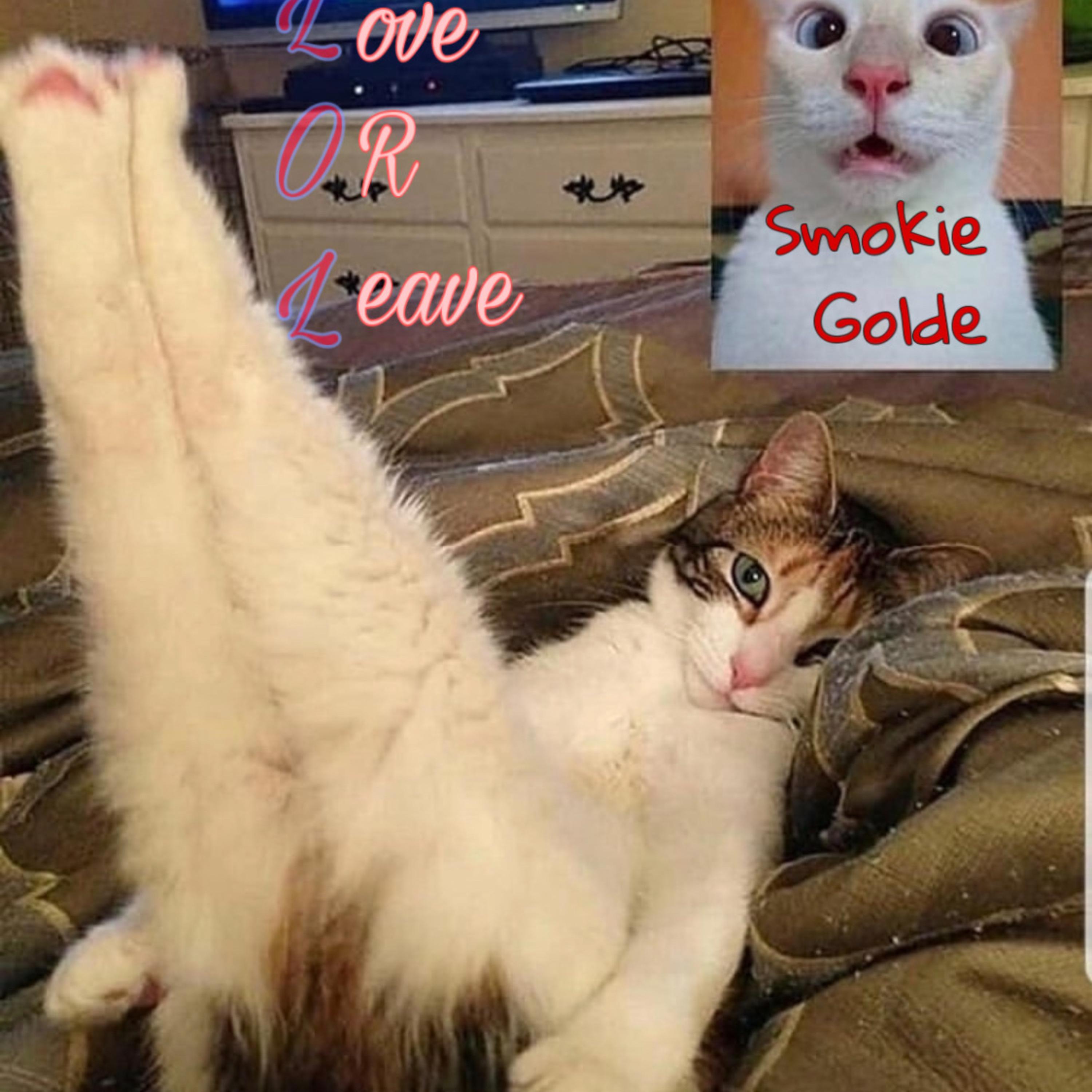 love or leave artwork