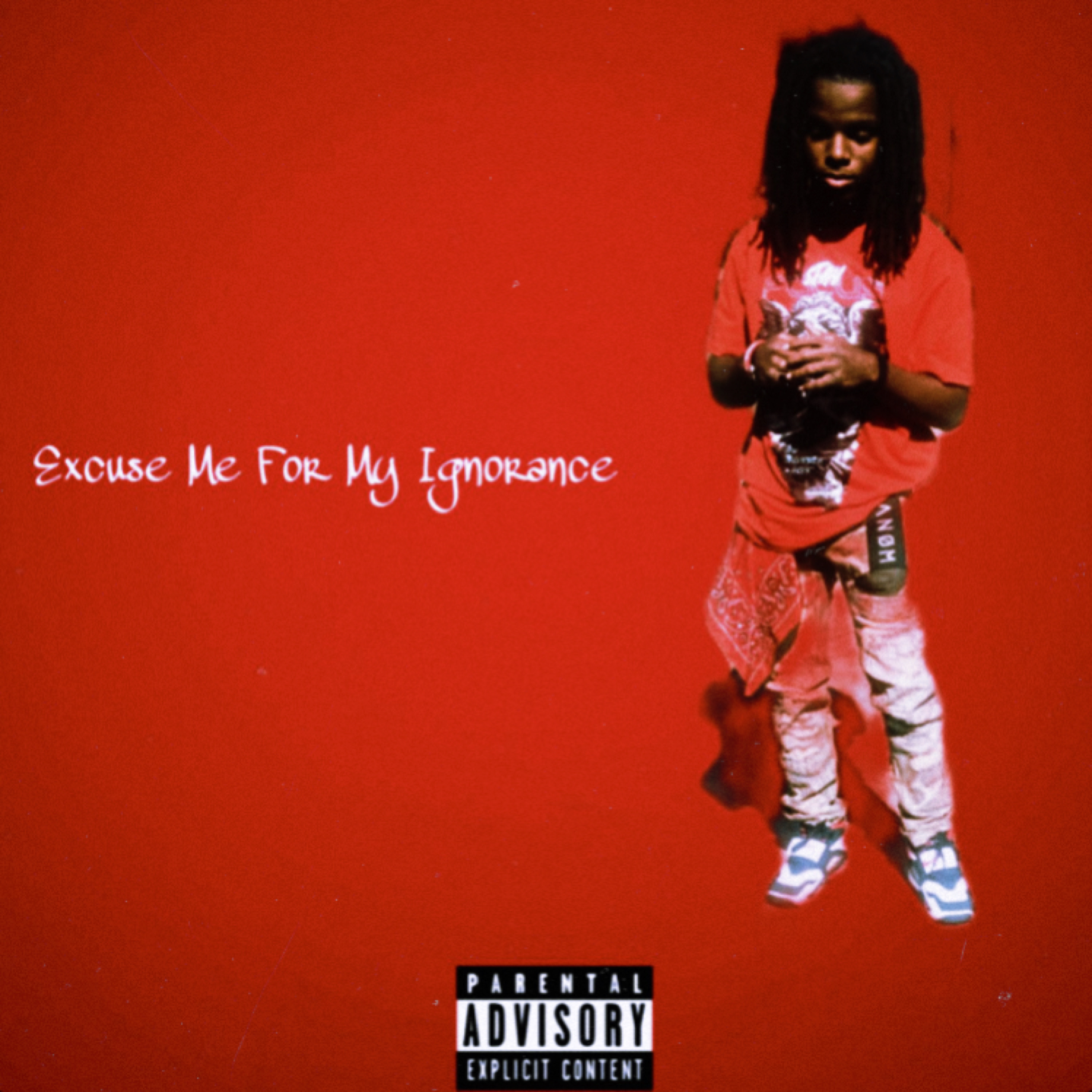 Excuse Me For My Ignorance artwork