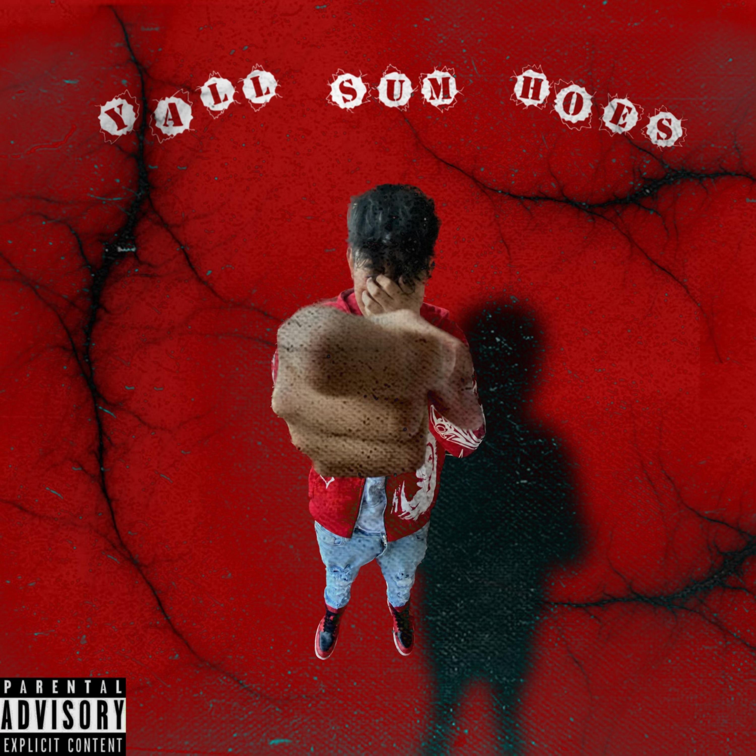 Yall Sum Hoes artwork